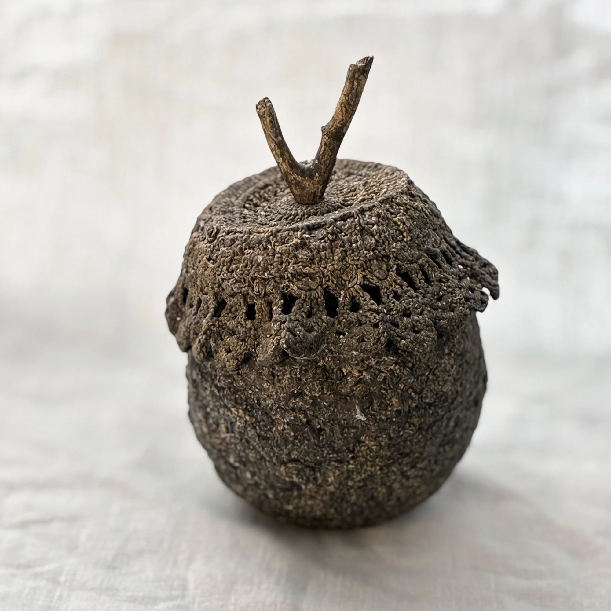 pomme-dentelle-2.jpg