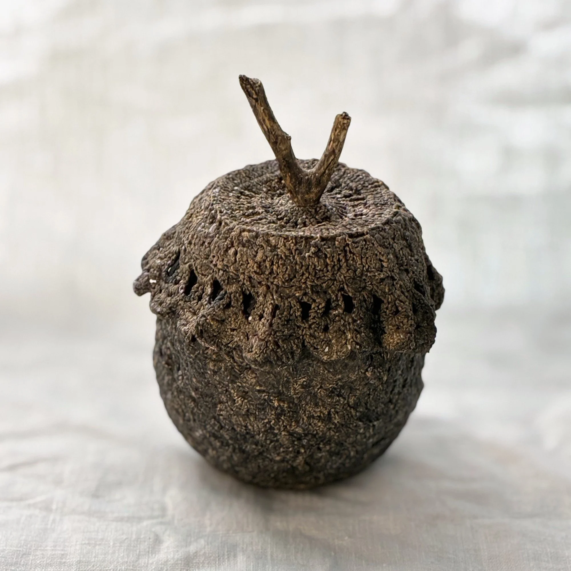 pomme-dentelle-1.jpg