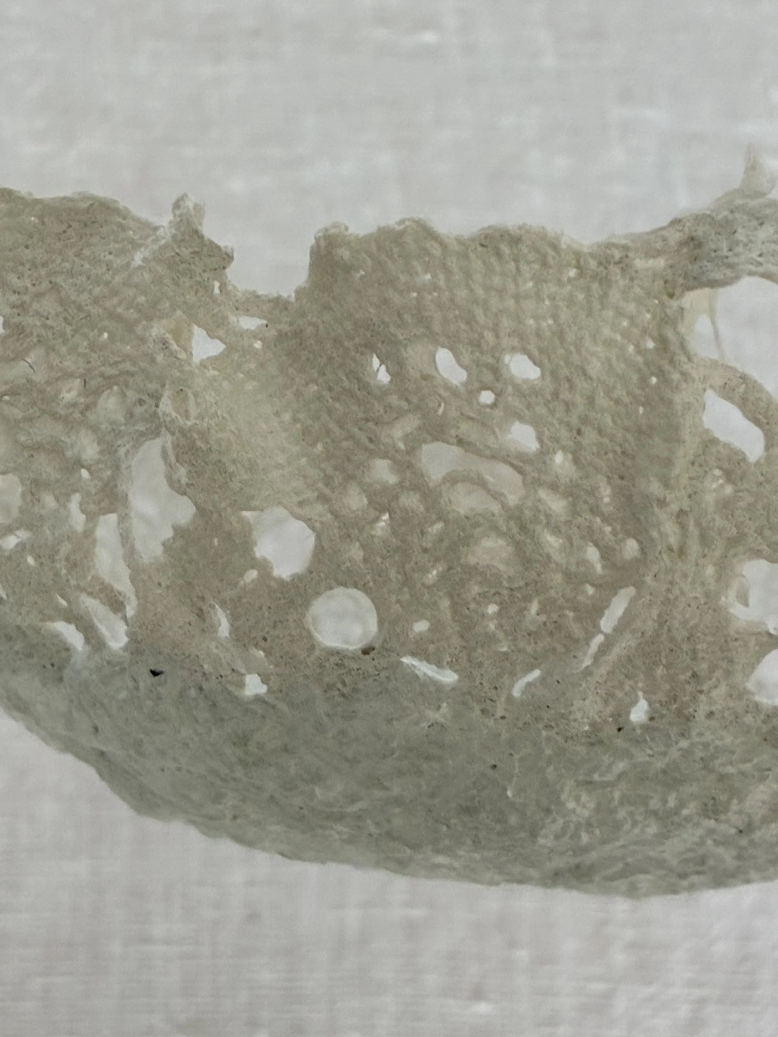 detail-coupe-dentelle-louise-jeanne-mottainai-amalia.jpeg