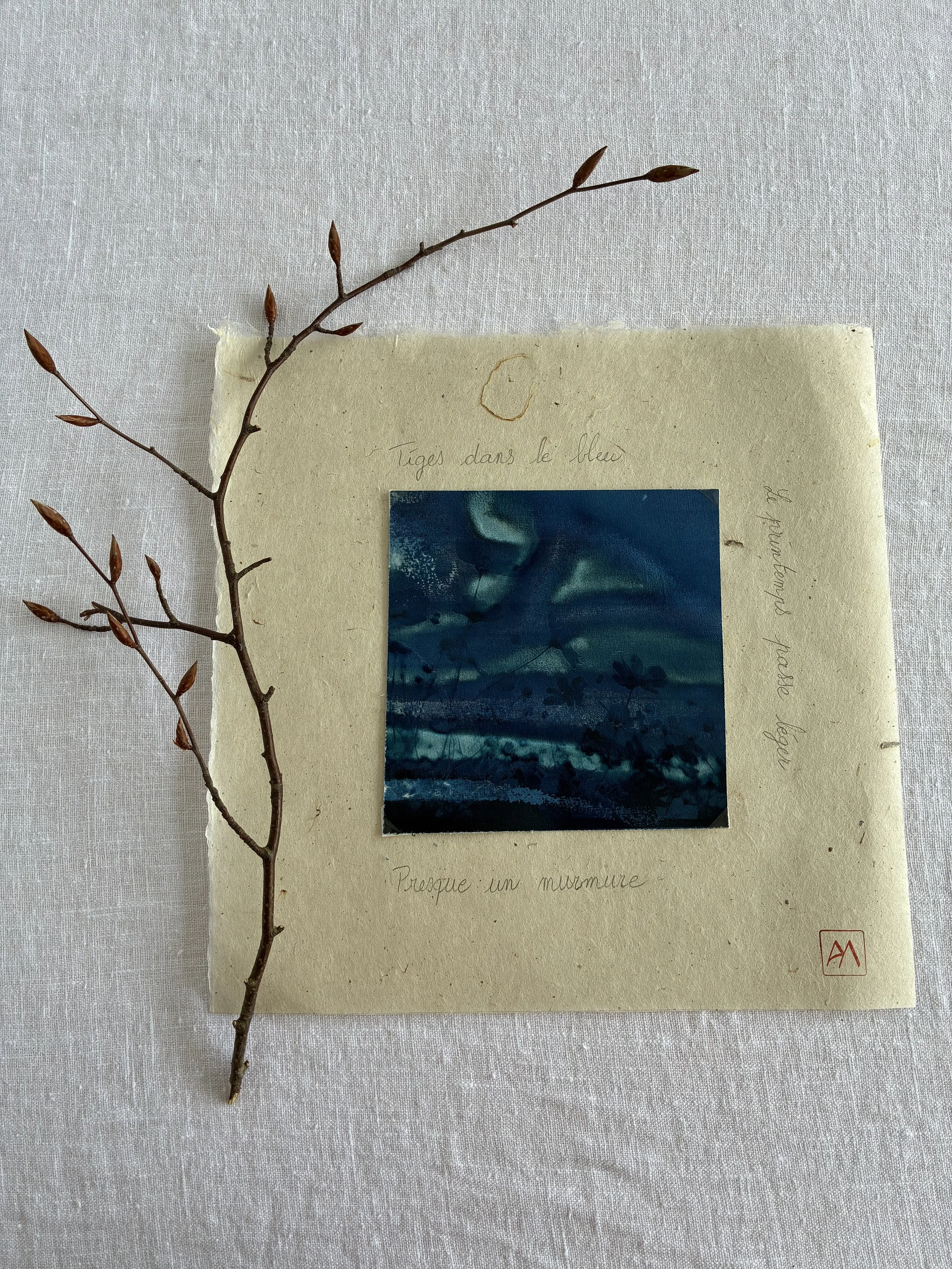2_cyanotype-printemps-leger-haiku-amalia.jpeg