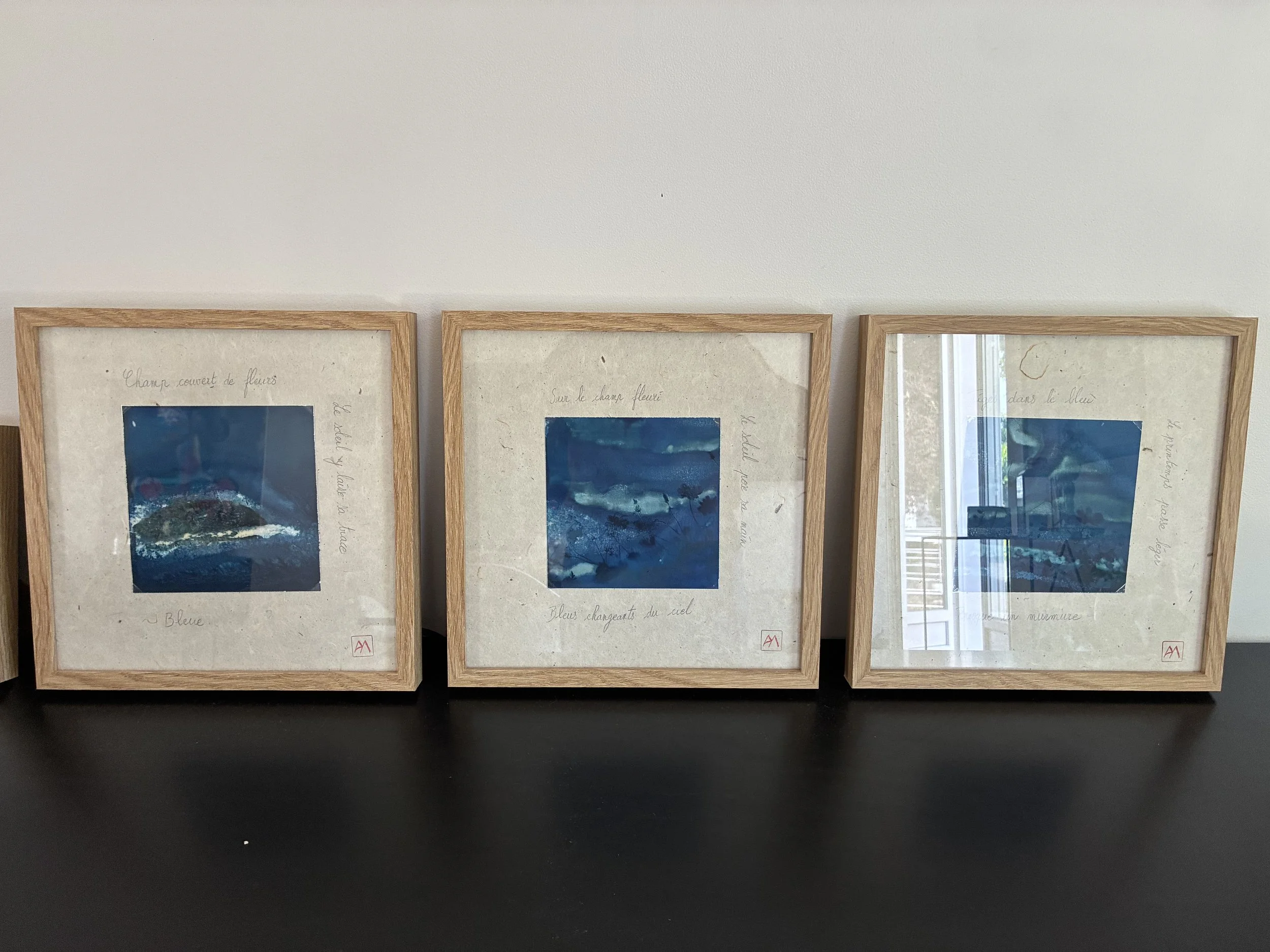cyanotypes-haiku-amalia.jpeg