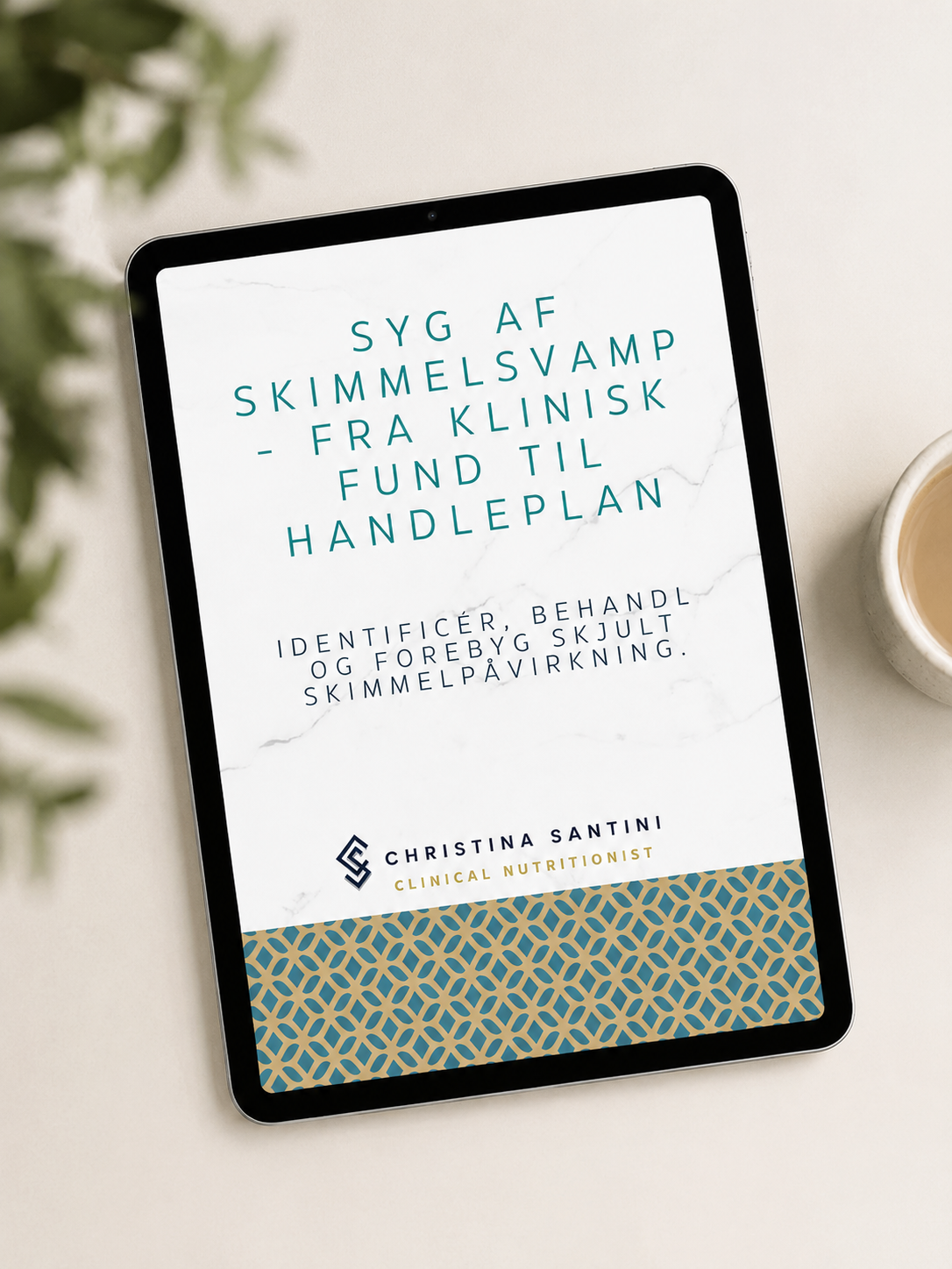 E-Bog: Aldrig mere syg af skimmelsvamp