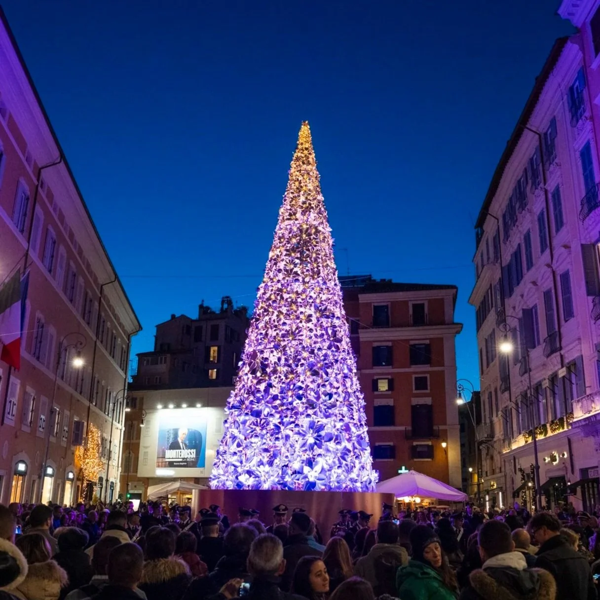 ALBERO IN PIAZZA S.LORENZO IN LUCINA
