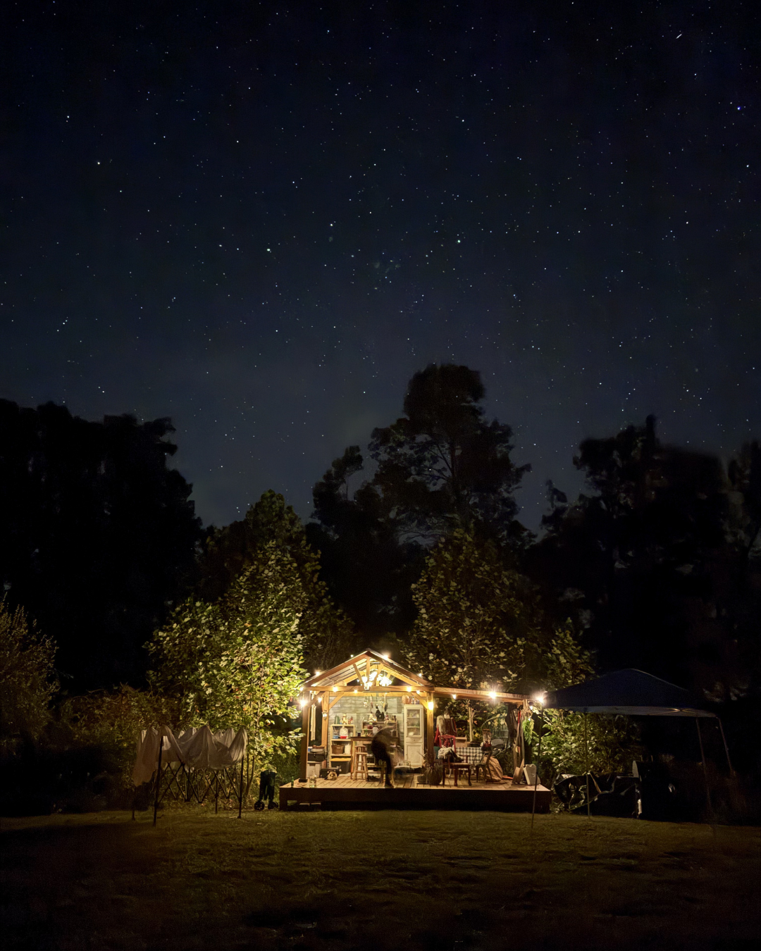 A small illuminated shed in a dark forest with a starry night sky overhead.