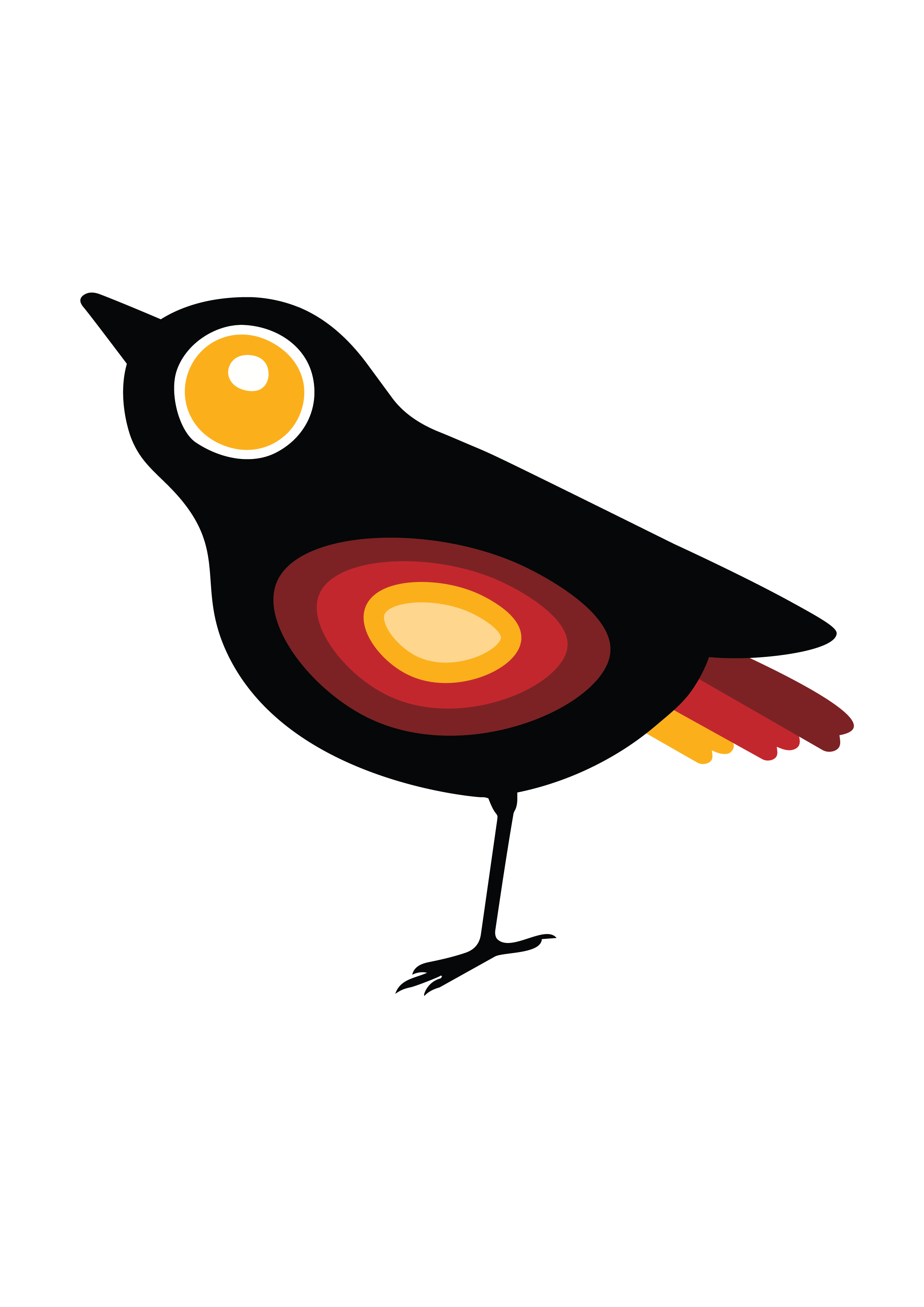 Stylized illustration of a black bird with yellow and red accents on its stomach, wing, and tail, set against a black background.