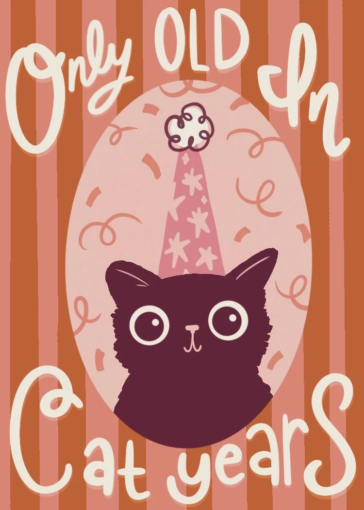 A birthday card with a black cat wearing a pink party hat with star patterns, celebrating a third birthday. The card has orange and pink vertical stripes with the text '3rd Old In Cat Years'.