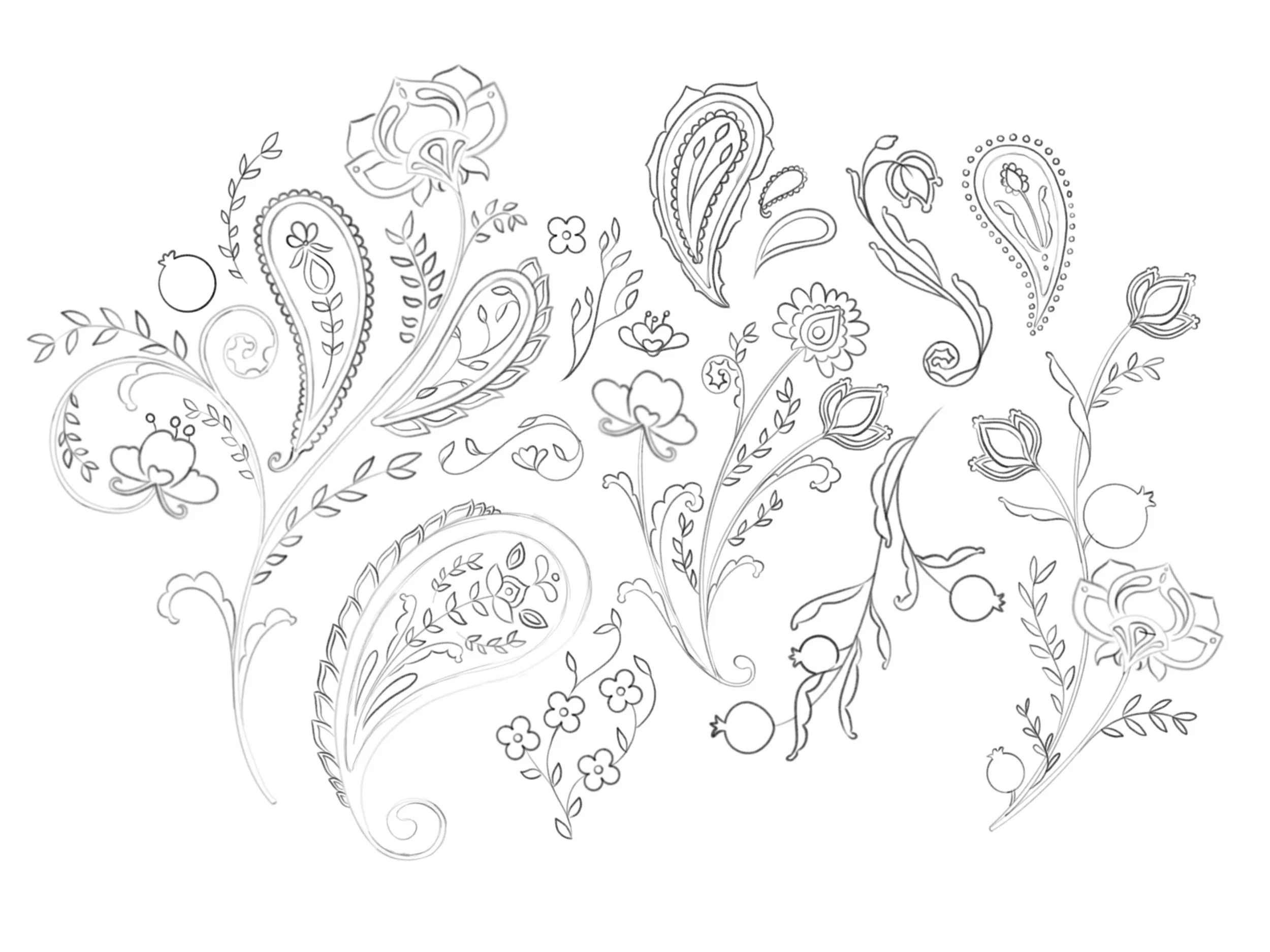 Line drawing of various floral and botanical patterns with flowers, leaves, and intricate details.