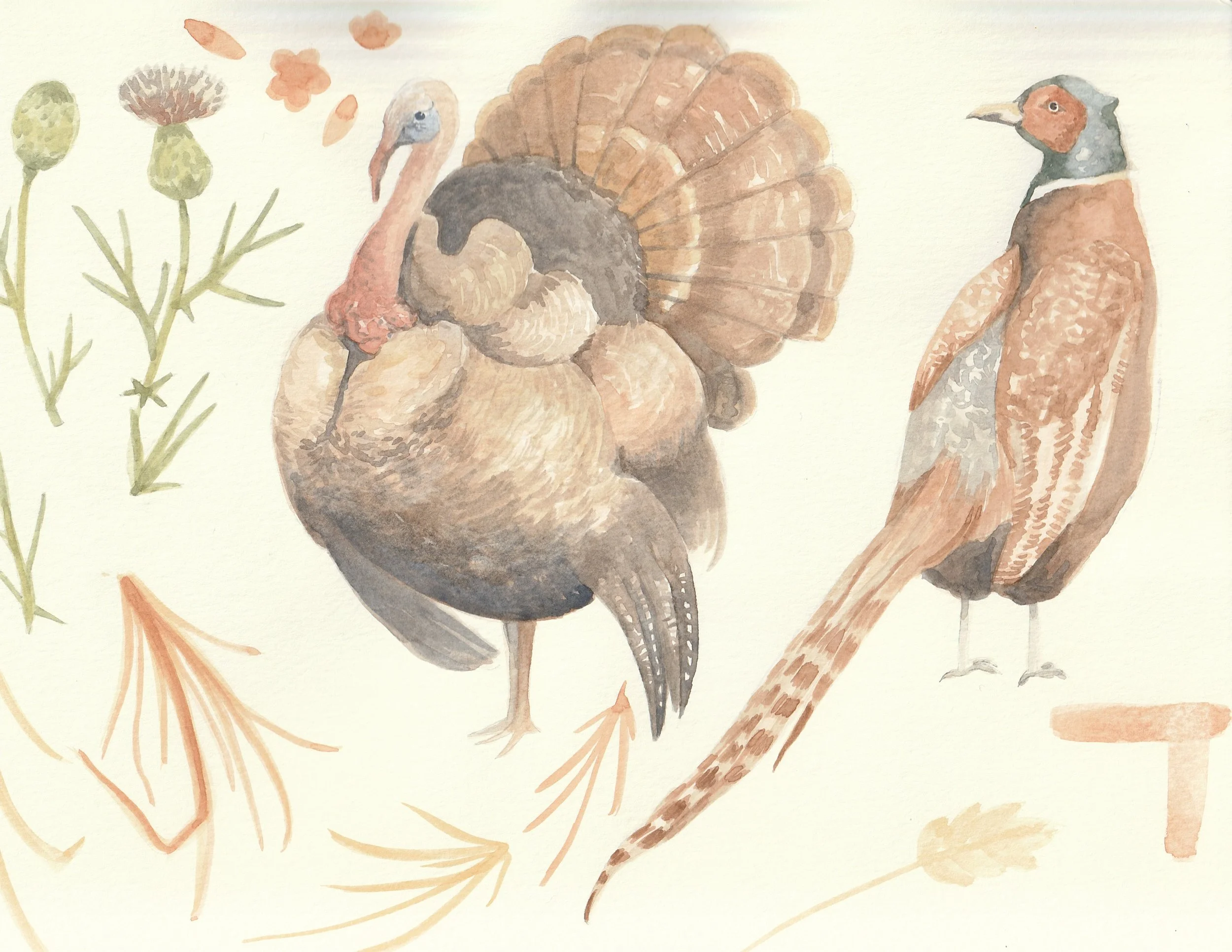 Watercolor illustration of two turkeys, surrounded by botanical elements and abstract shapes.