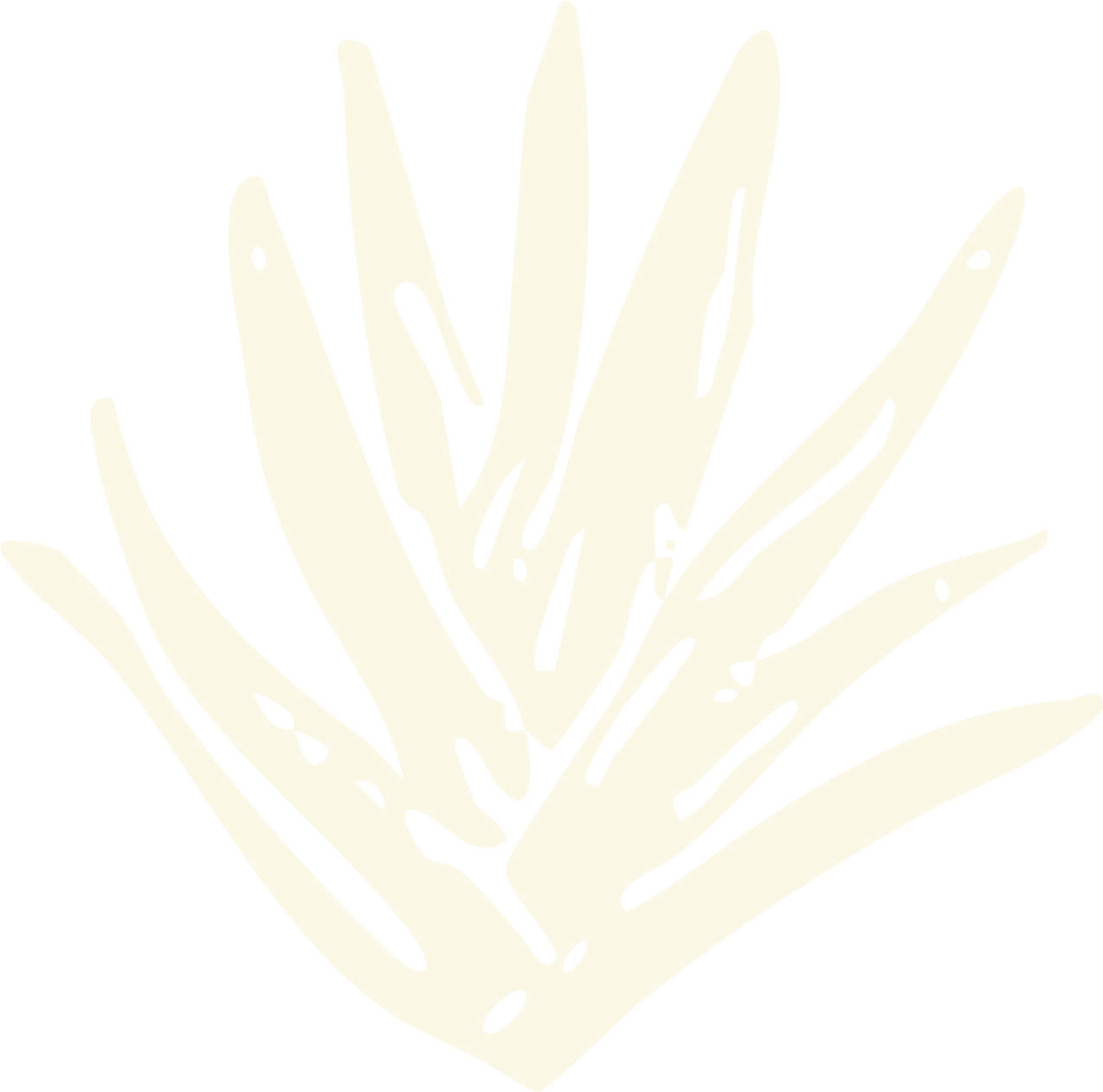 White abstract coral illustration on black background  for garden and landscaping brand in Calgary