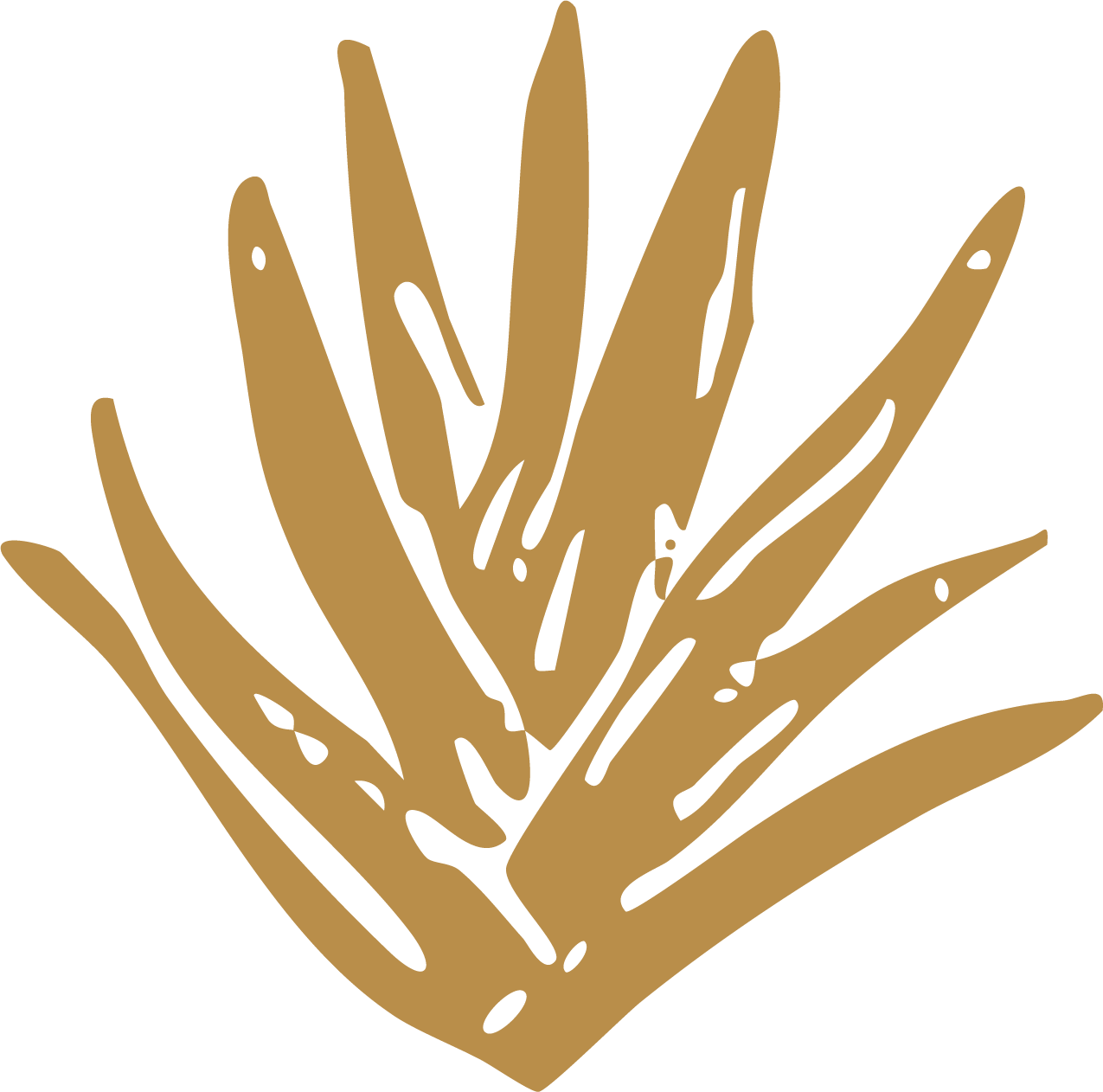 A stylized illustration of a desert plant or succulent, depicted in tan color with elongated, pointed leaves  for garden and landscaping brand in Calgary