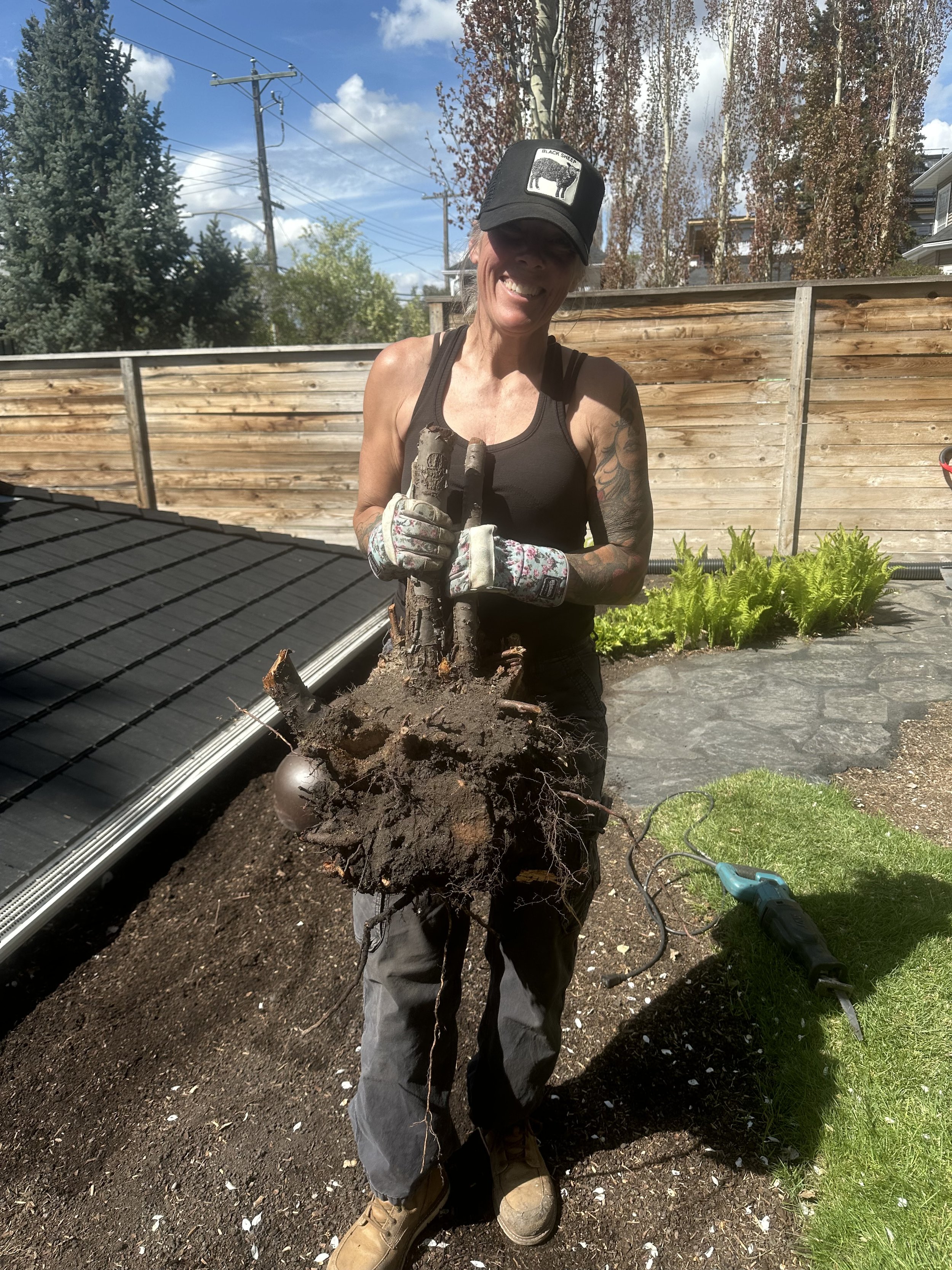 Jen, The Garden Hoe, smiling and holding a large uprooted plant with roots and soil attached, outdoors in a backyard with a wooden fence, trees, and a blue sky with clouds while doing her garden maintenance services for a client in Calgary