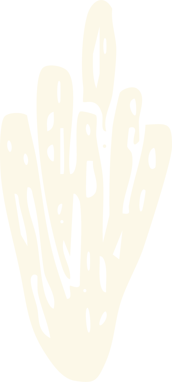 Illustration of a cactus for garden and landscaping brand in Calgary