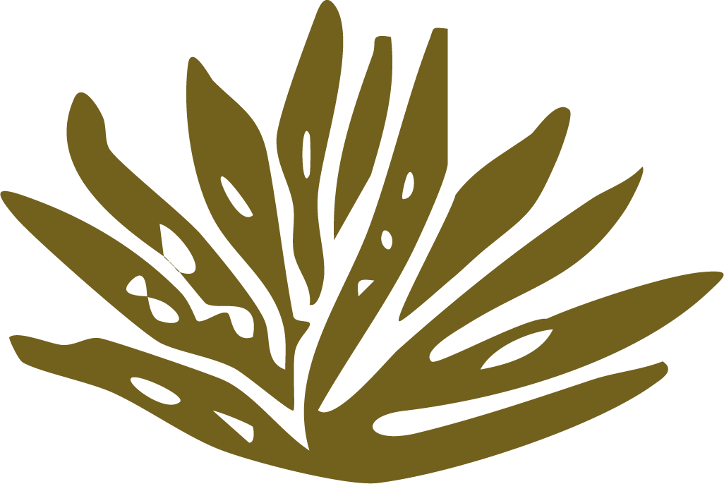 Illustration of a brown palm leaf with multiple elongated leaves, some of which have cut-out sections for garden and landscaping brand in Calgary
