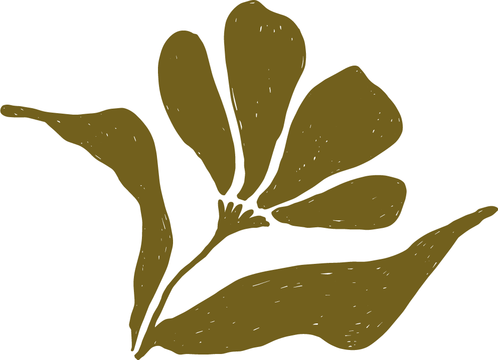 Silhouette of a ginkgo leaf in olive-green color  for garden and landscaping brand in Calgary