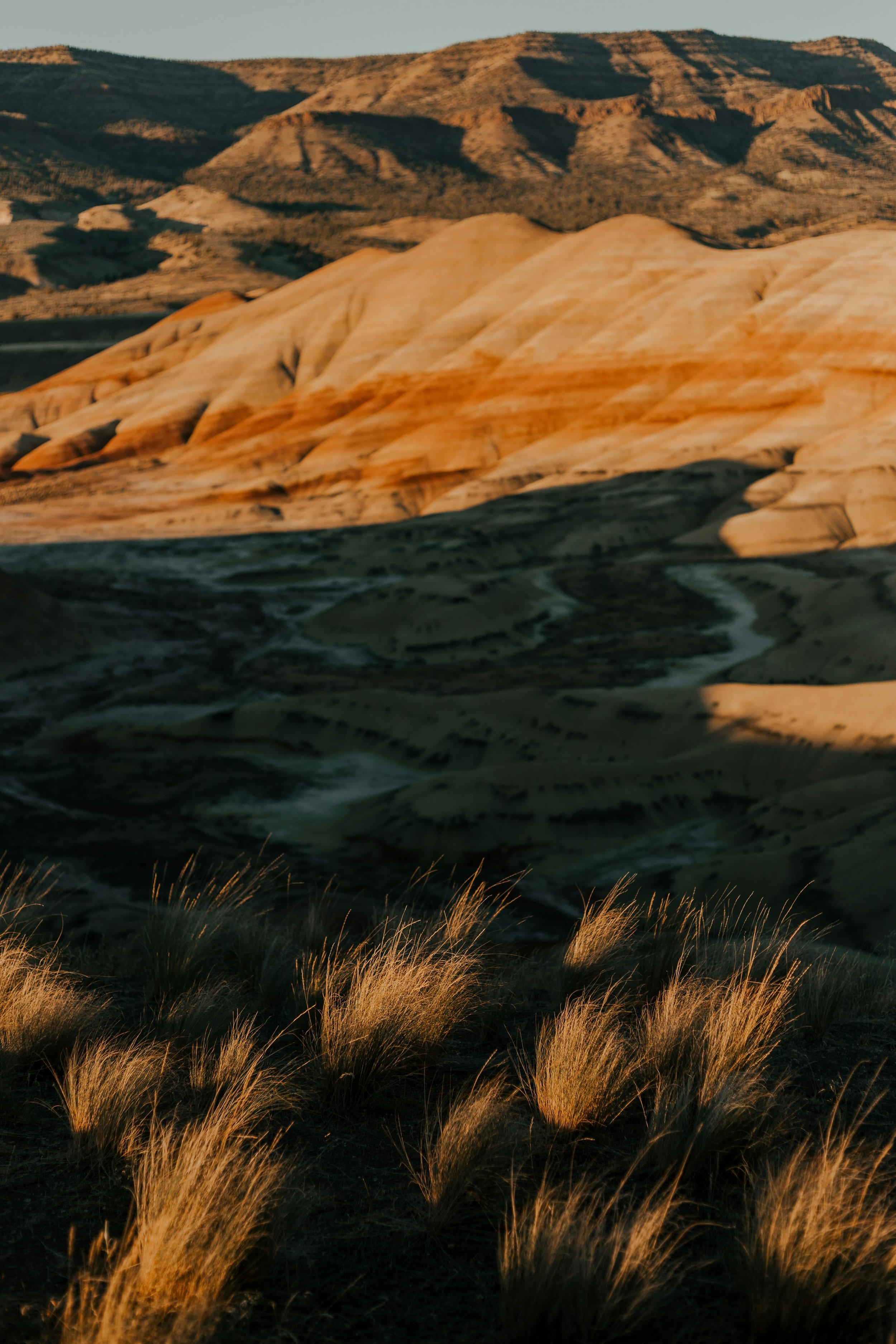 Sunlit desert landscape with layered, multicolored rock formations and sparse grass in the foreground.