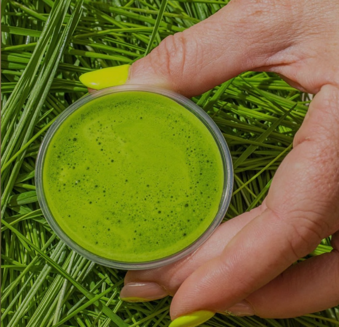 Add on: Wheatgrass Shot (1oz)