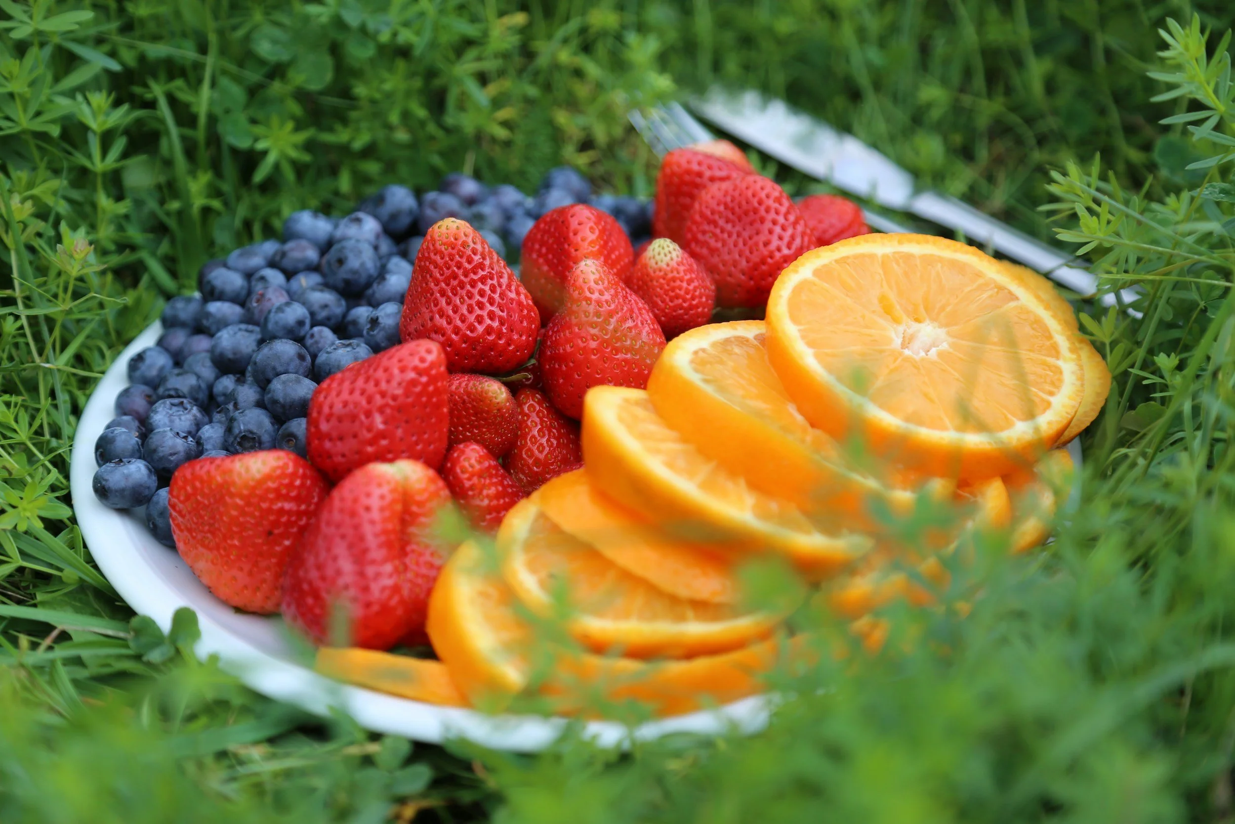 Assiette de fruits avec des fraises, des myrtilles et des tranches d'orange, posée dans de l'herbe verte