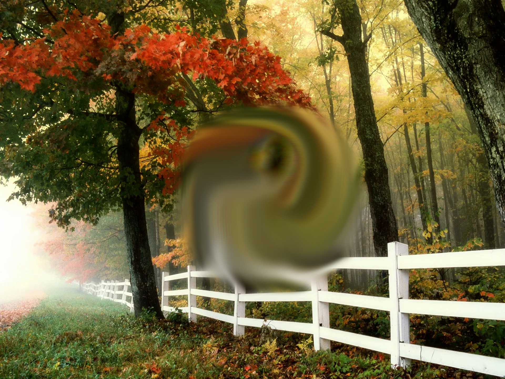 Un chemin bordé d'arbres aux feuilles d'automne, avec un panneau en bois blanc et un objet flou au centre.