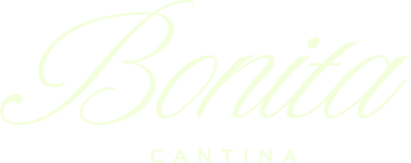 Bonita Cantina • Montreal 