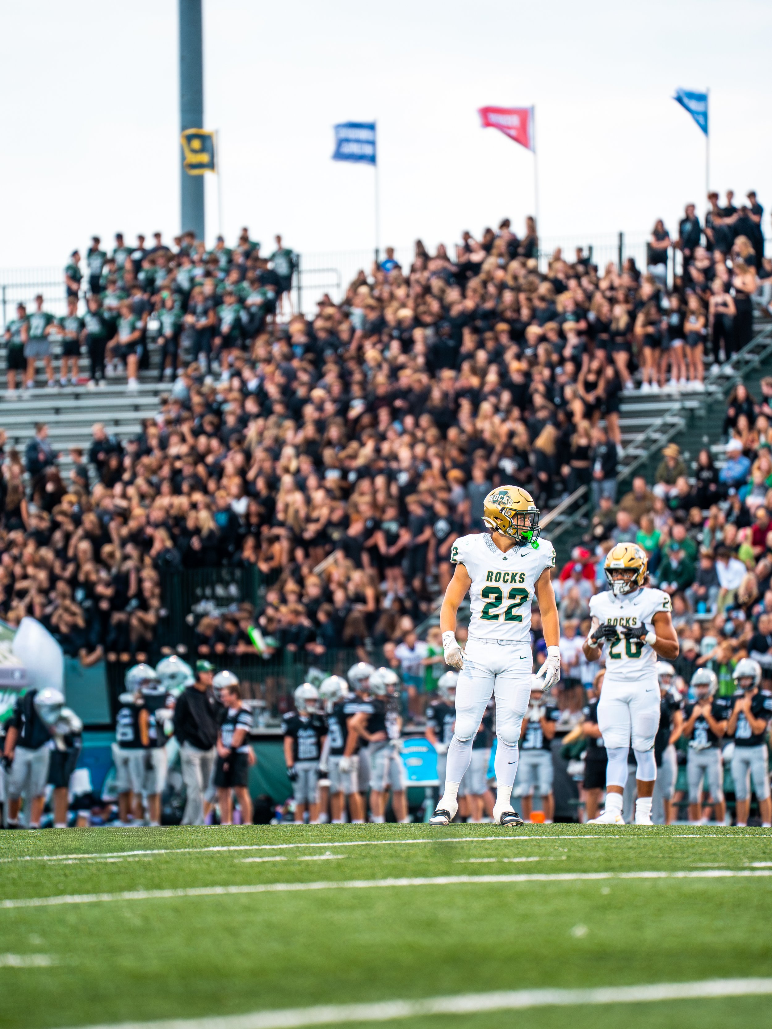 American football players on the field with a crowd of spectators in the stands