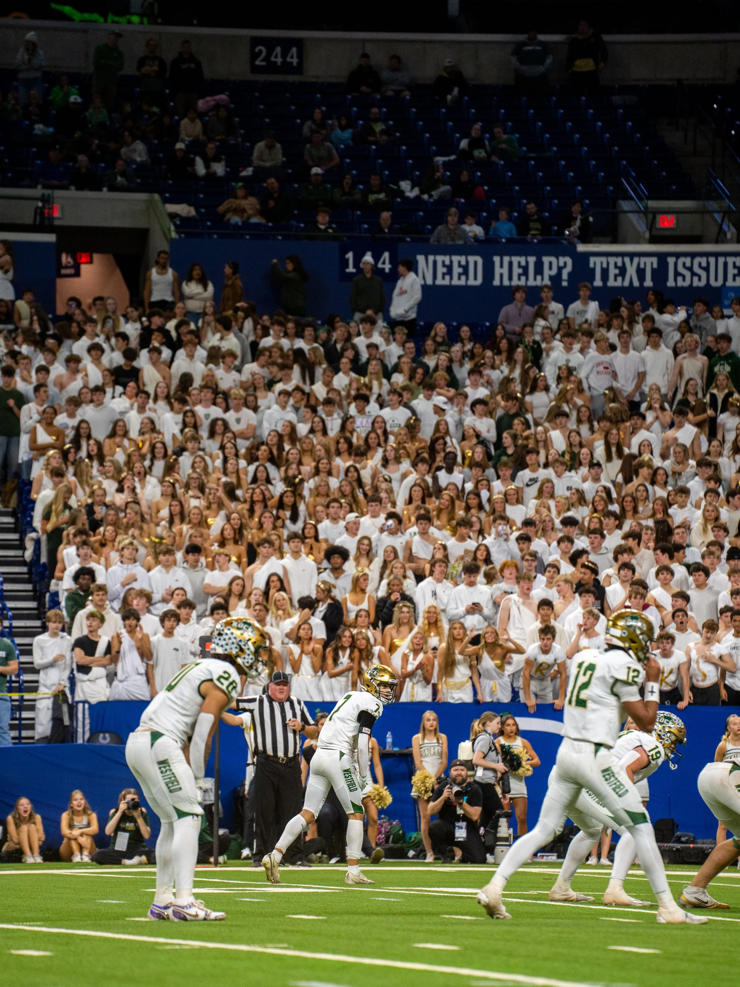 Football players in white uniforms on the field during a game, with a large crowd of spectators in the stands.