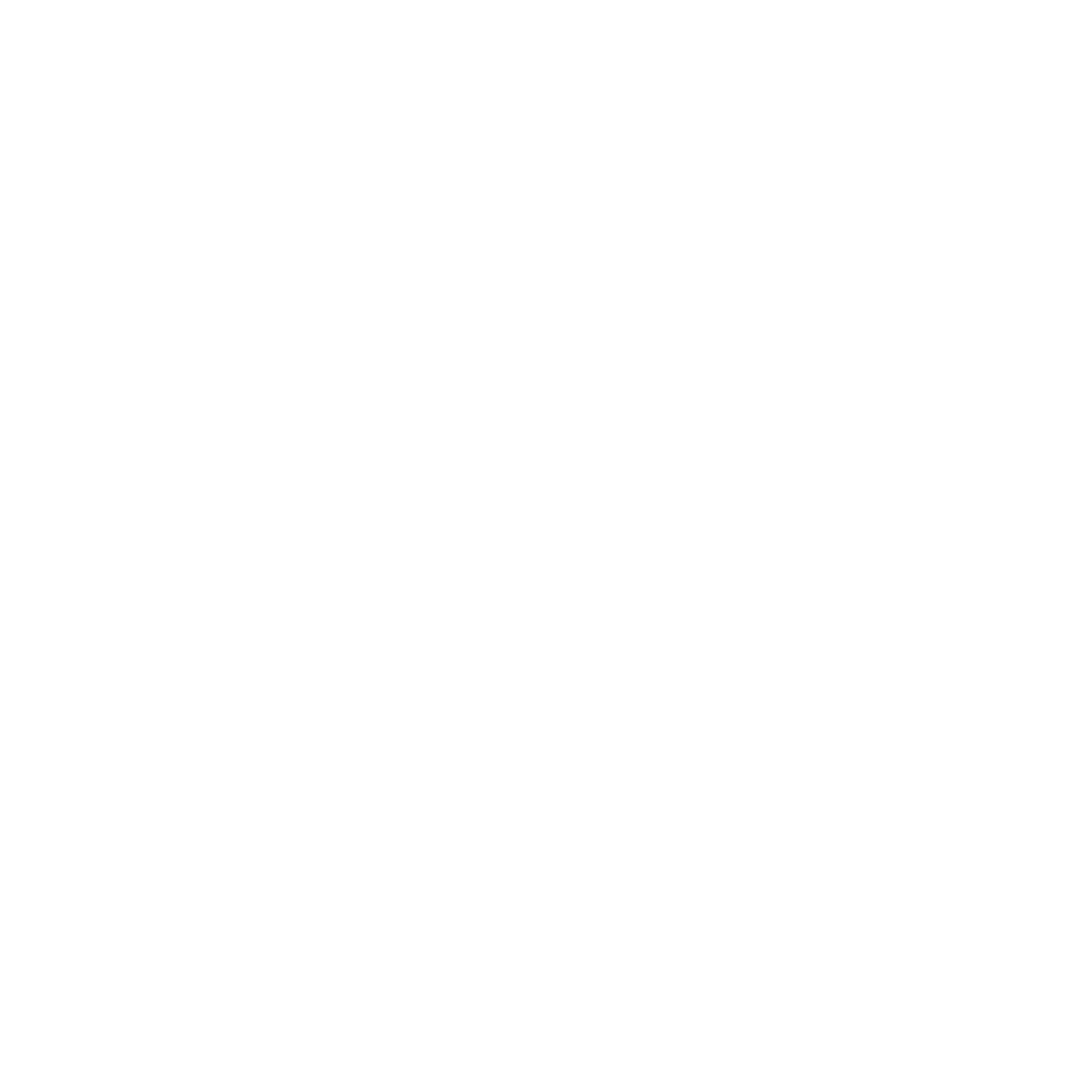 Logo featuring a line drawing of a camera above the text 'Nadine Ferris France' on a black background.