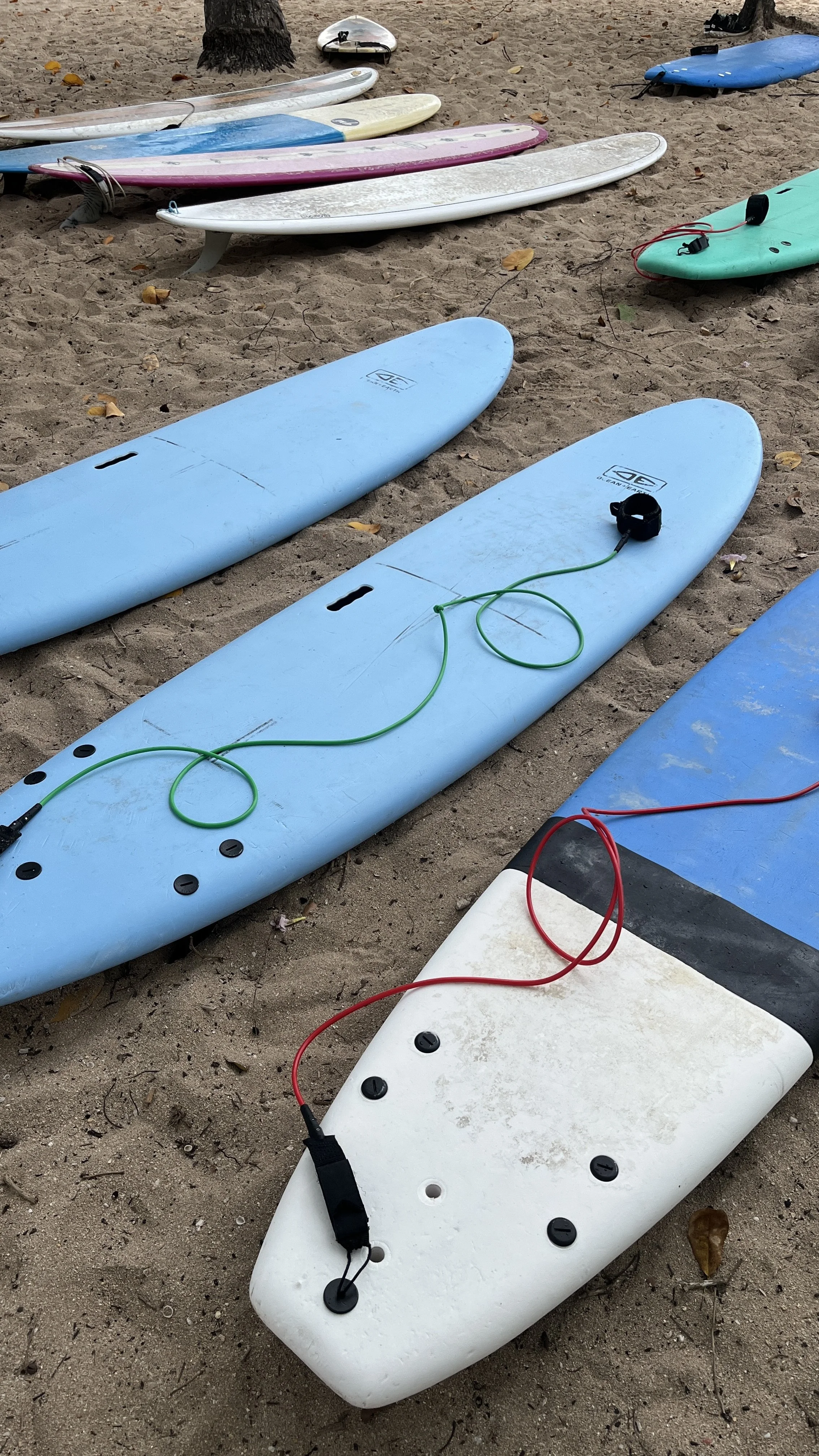 Semaine full surf| Du 19 au 26 mars 2027