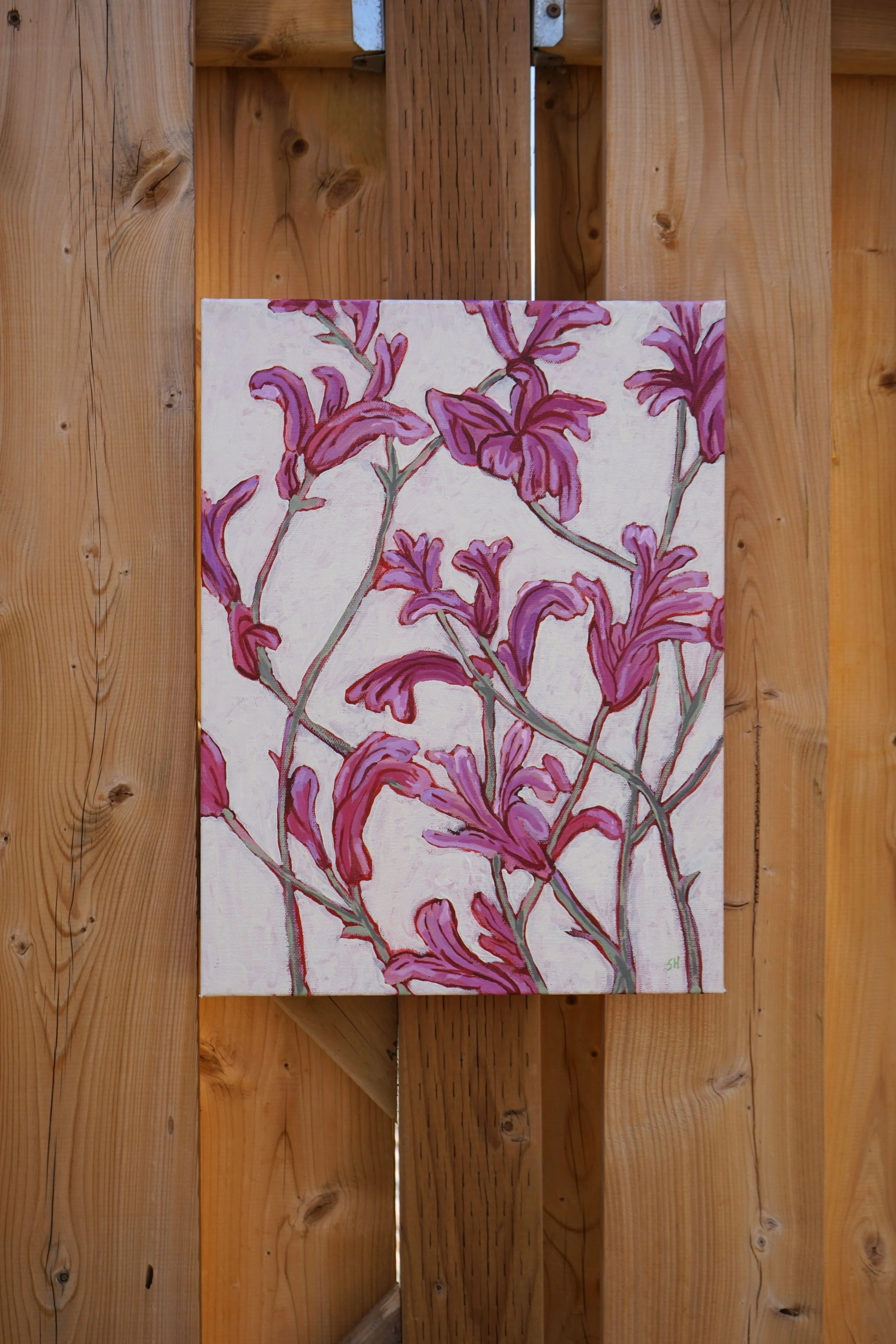 Just magenta flowers