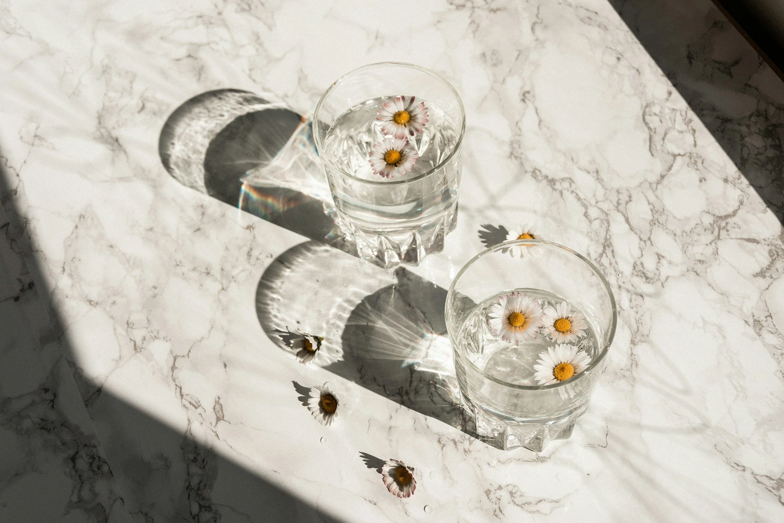 Deux verres d'eau avec des marguerites flottantes posés sur une surface en marbre blanc, avec des ombres portées et des éclats lumineux.