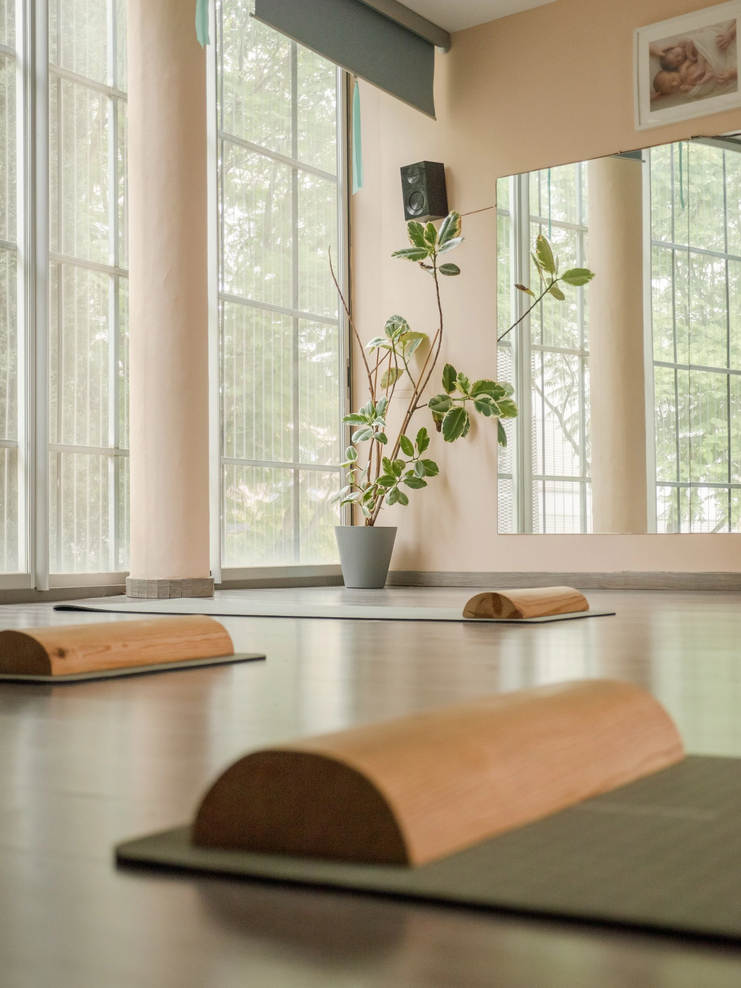 Sala de yoga con esterillas en primer plano y planta en el fondo junto a una pared con ventanas grandes.