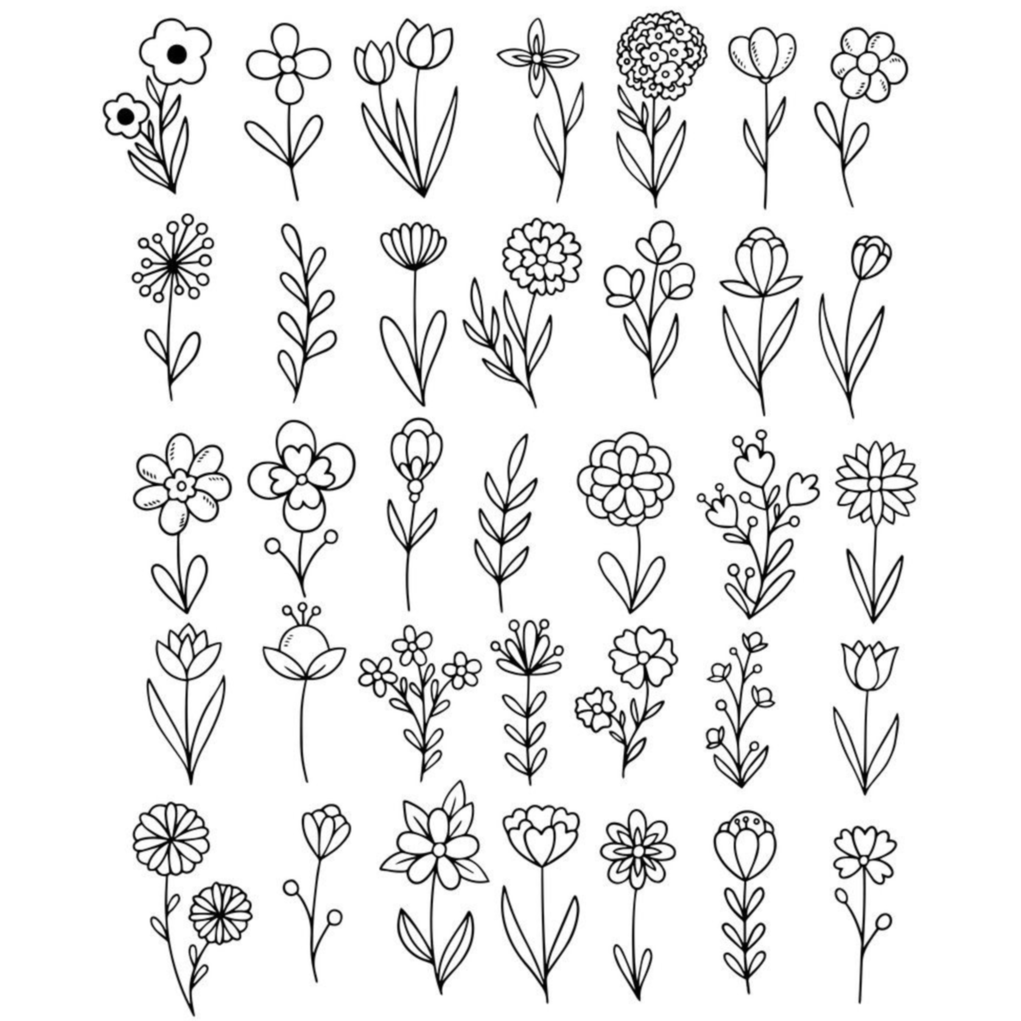 IMG_2093.PNG