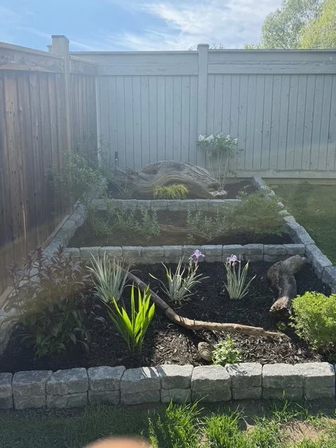 Alliston Backyard Project