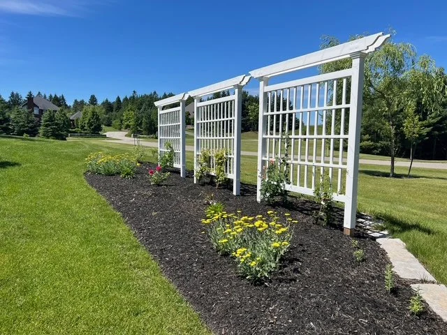 trellis-setup-perennials.jpeg