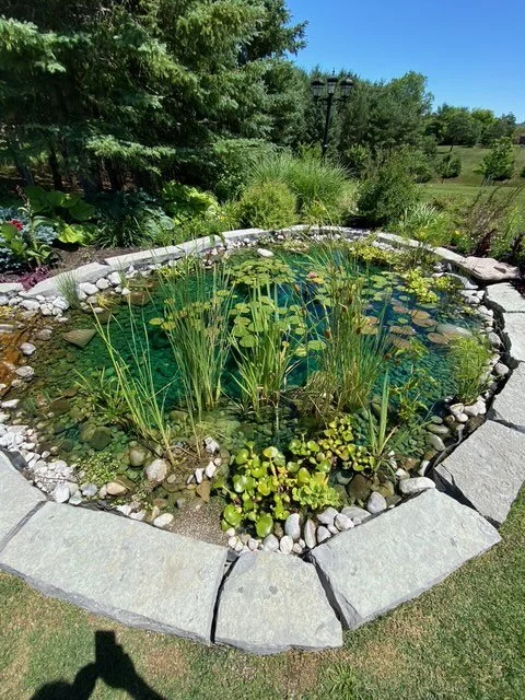 The Caledon Pond Project