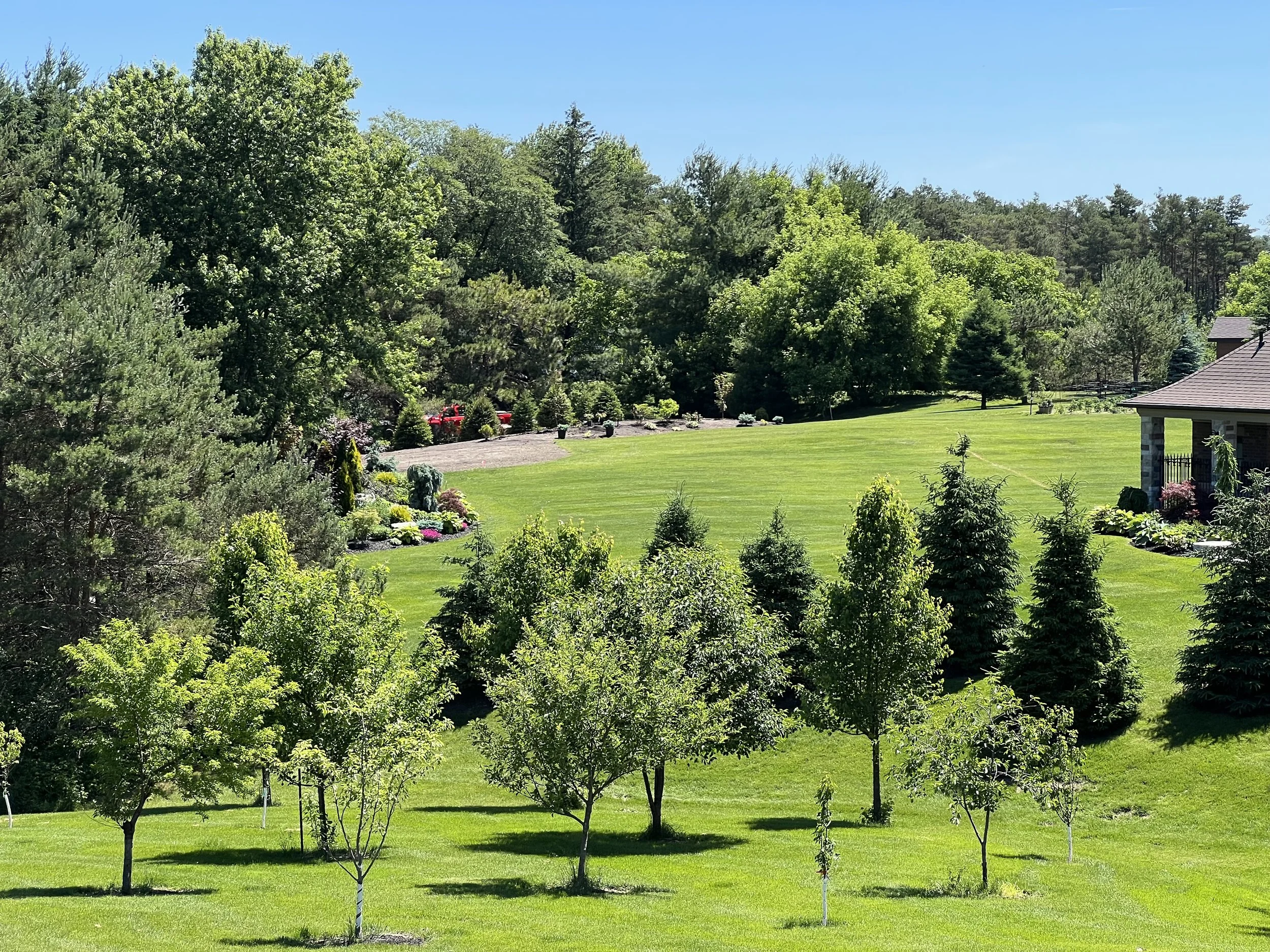 The Caledon Orchard Project