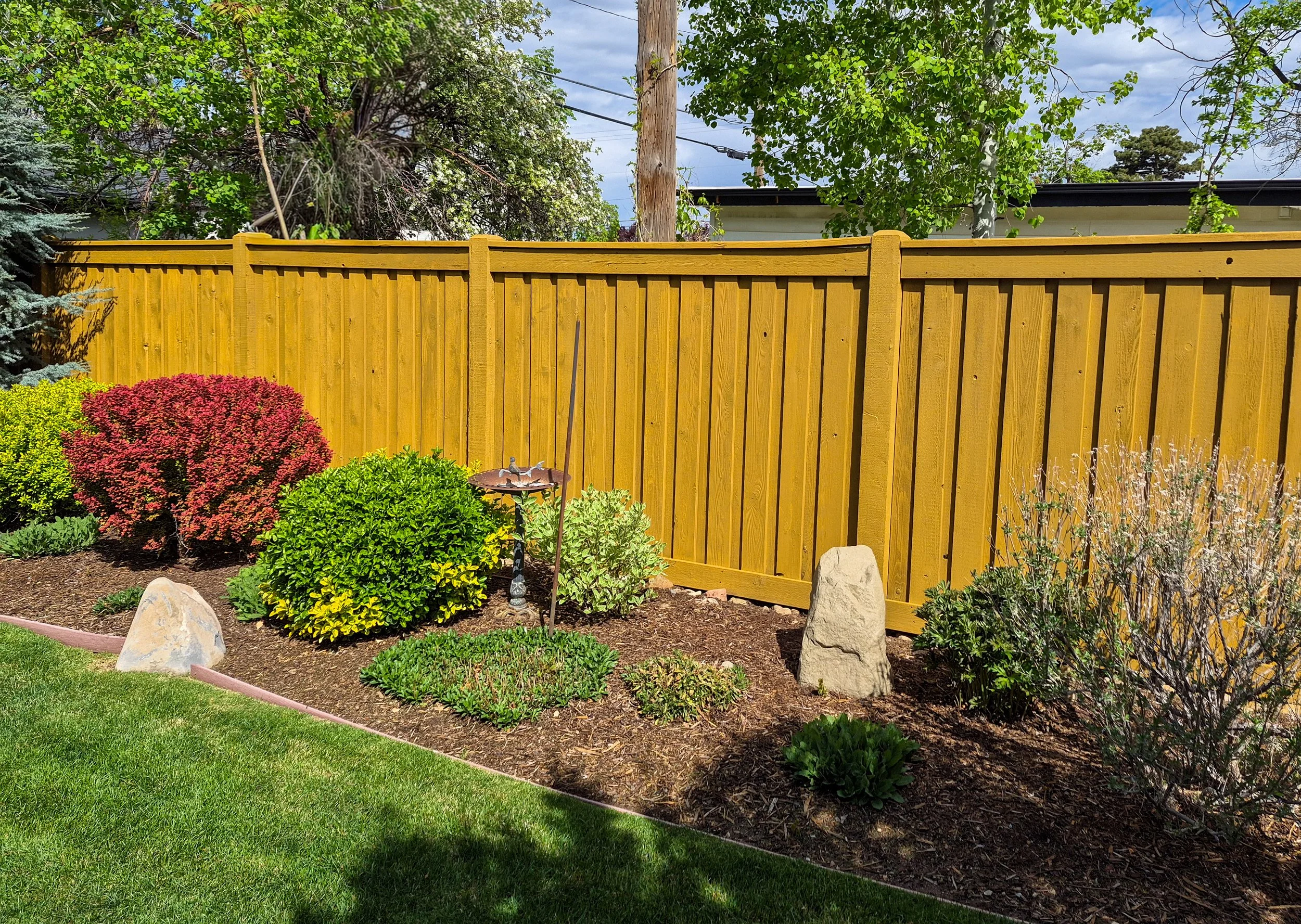 Wood fence after staining with semi solid stain
