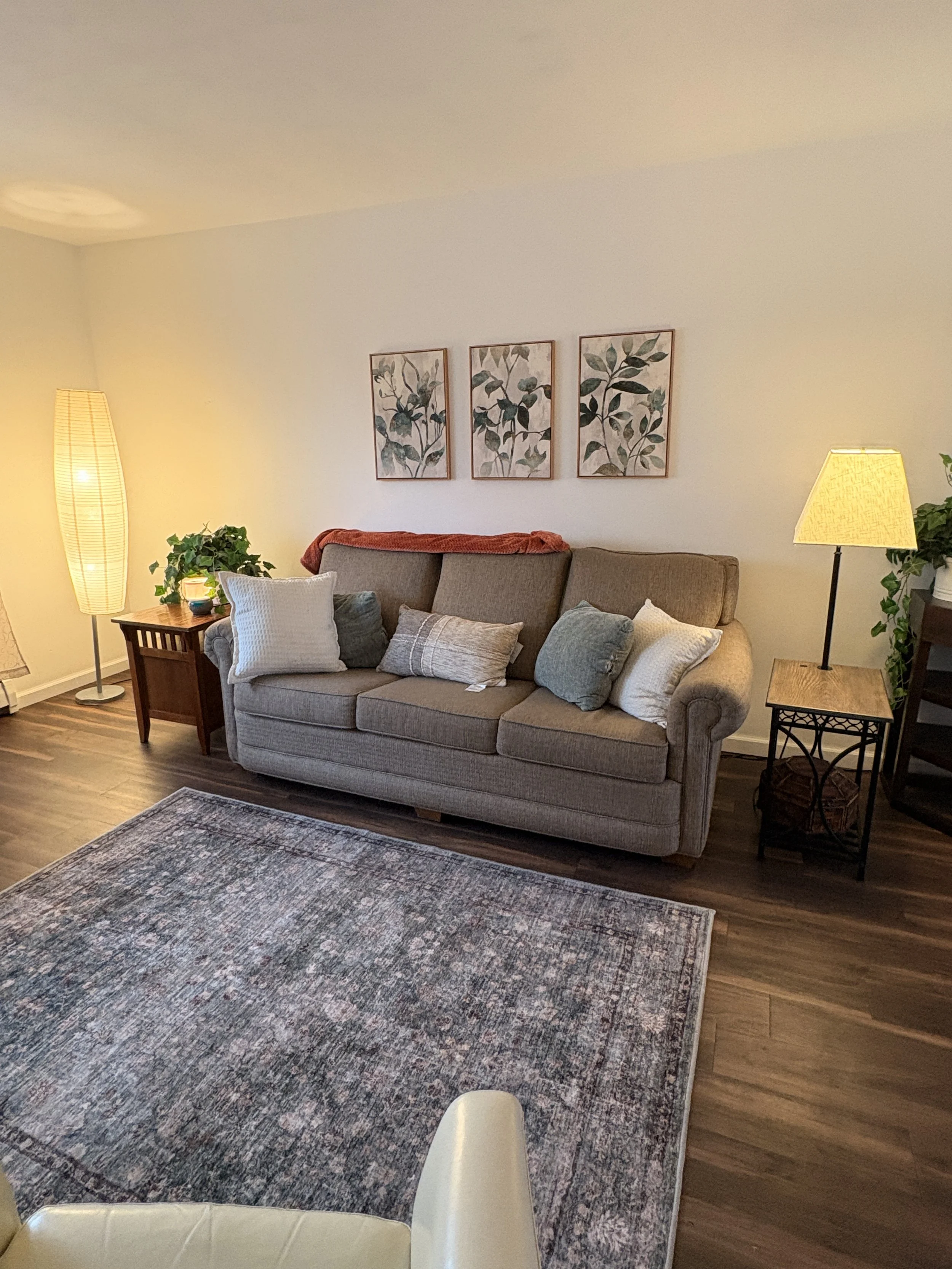  gray couch in living room 