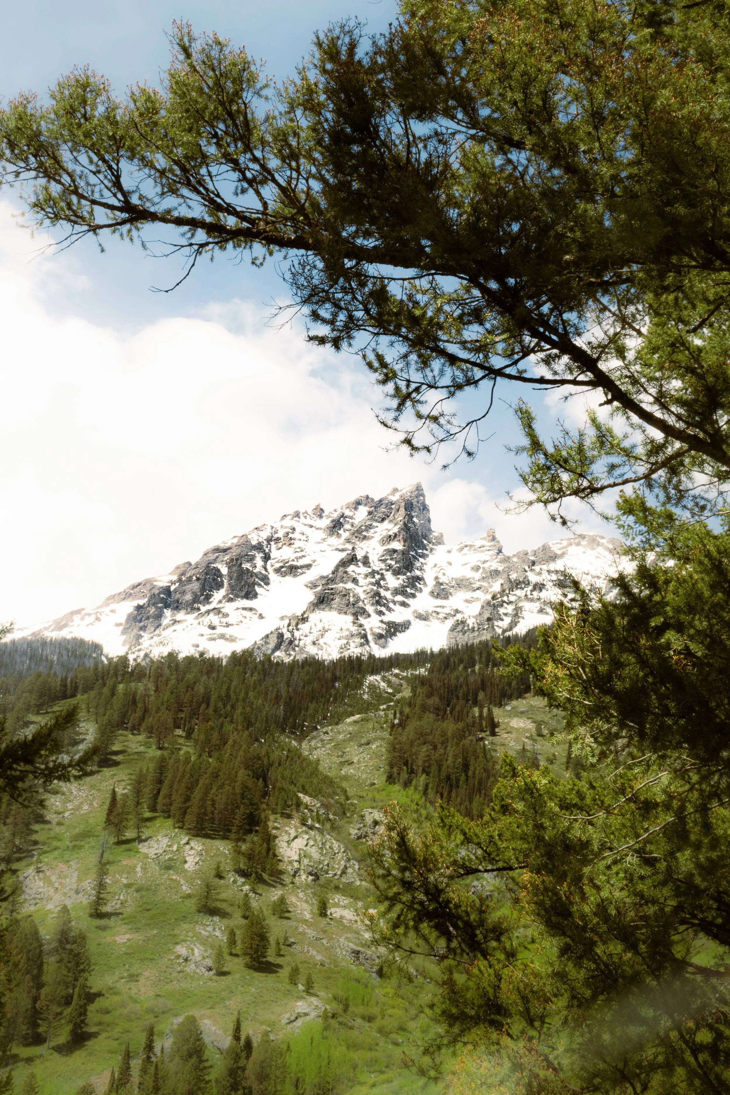 Grand Teton.jpg