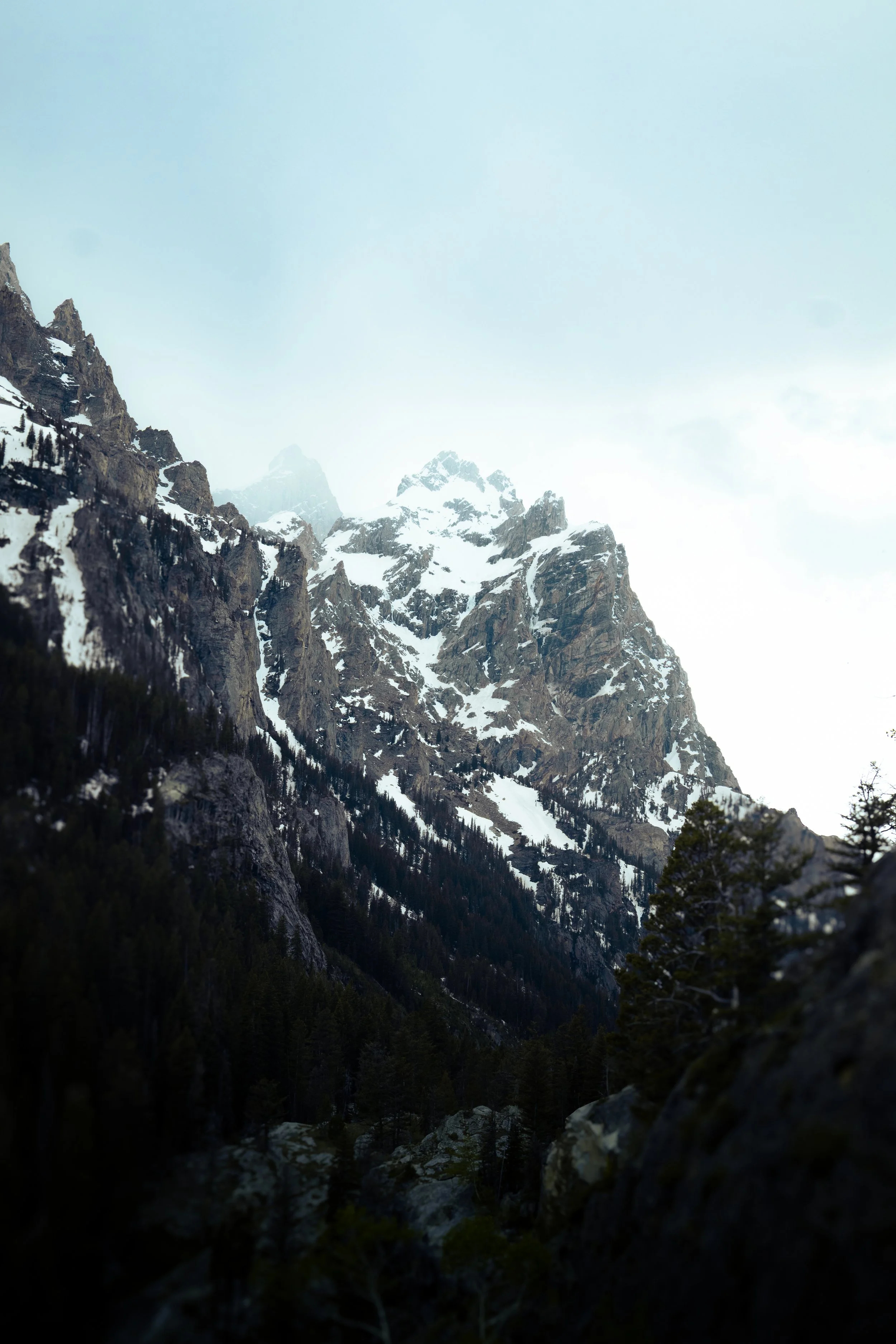 Snowy Teton.jpg