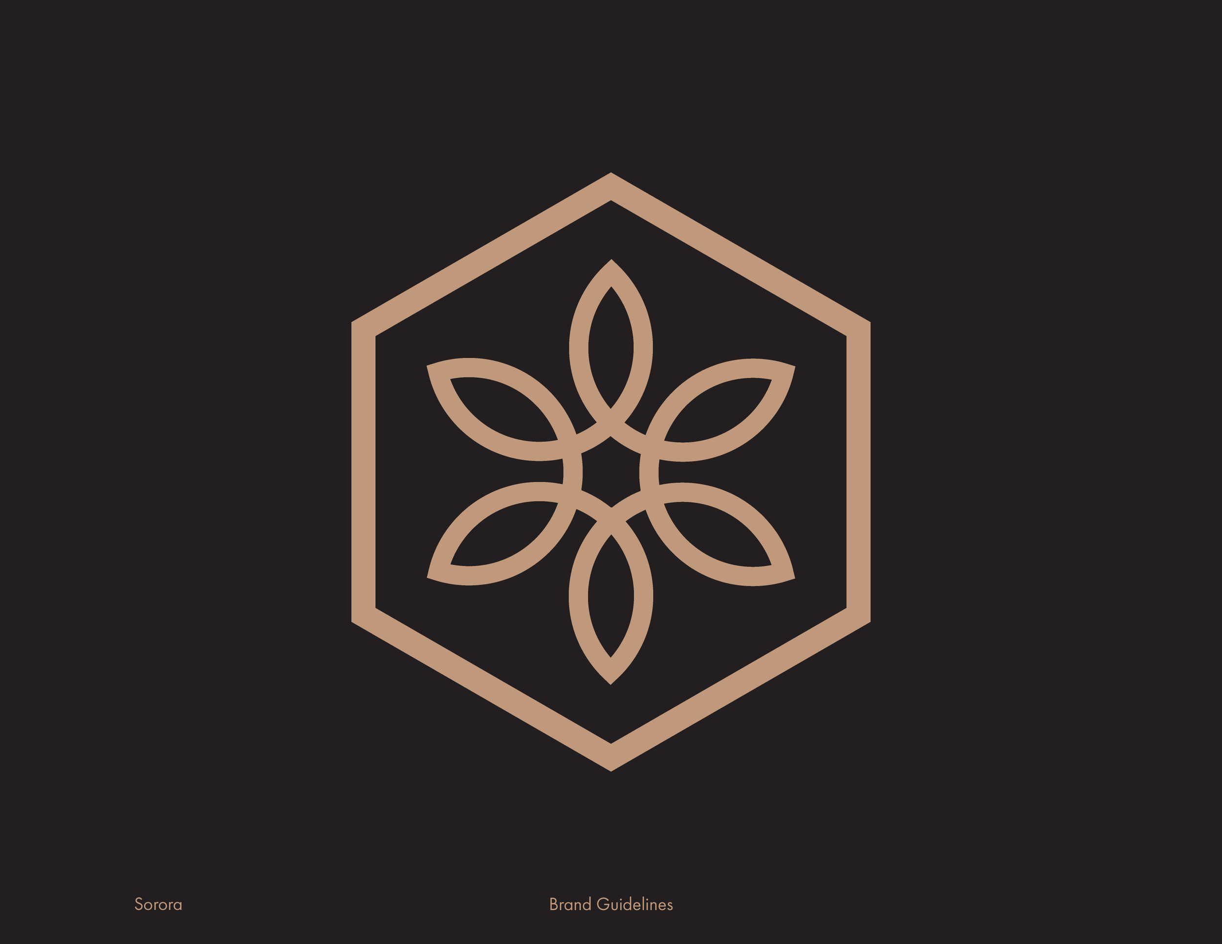 Sorora's Tertiary Logo with a hexagon outline containing a symmetrical floral design with six petals.