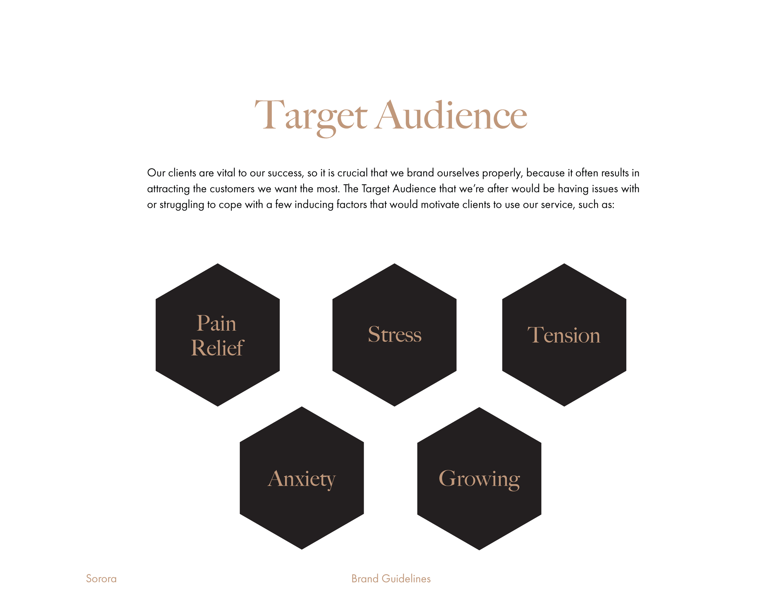 A presentation slide titled "Target Audience" with paragraph text and five black hexagons containing words: pain relief, stress, tension, anxiety, growing.