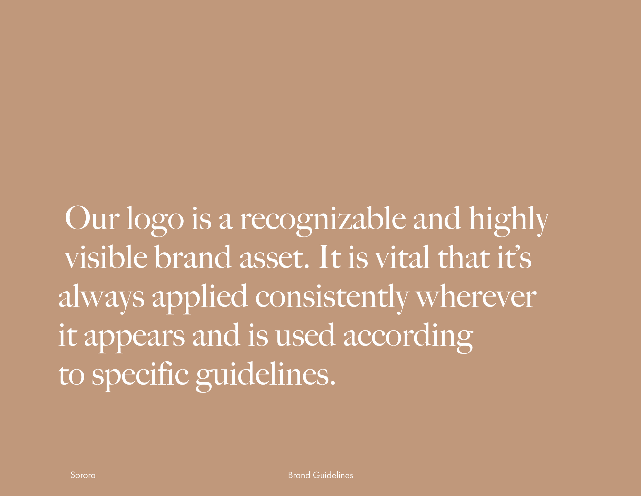A slide with a beige background and white text discussing the importance of a brand logo and guidelines.