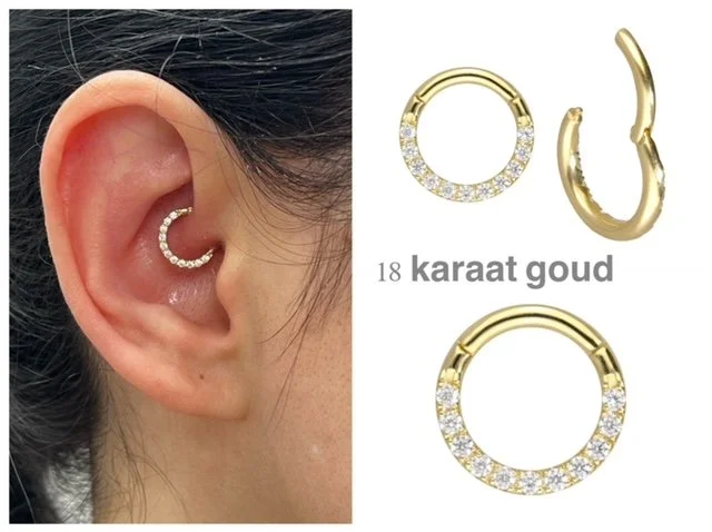 goud18segment.JPG
