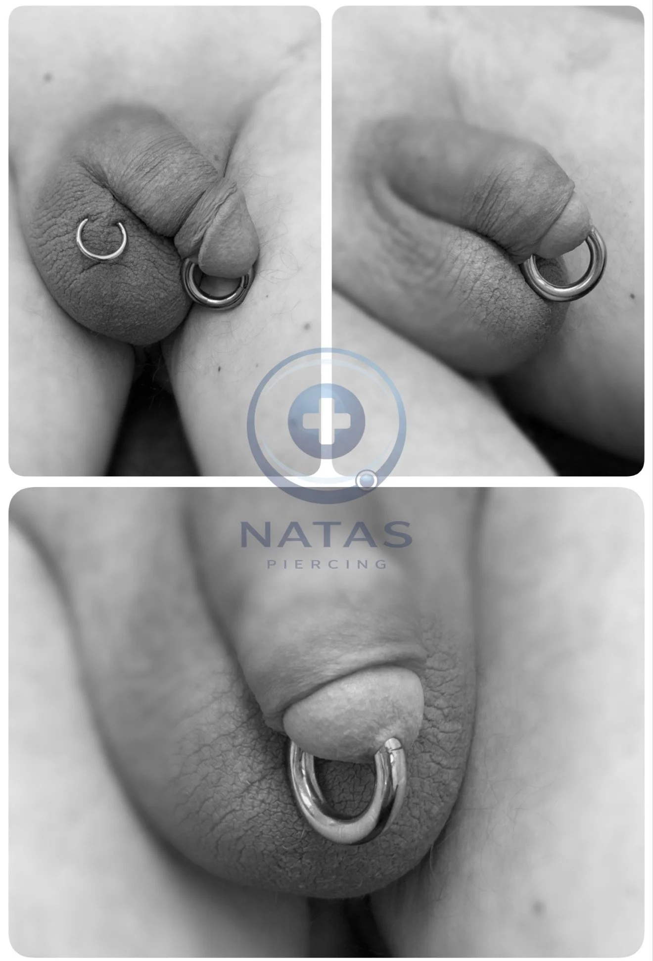 piercing penis prins albert