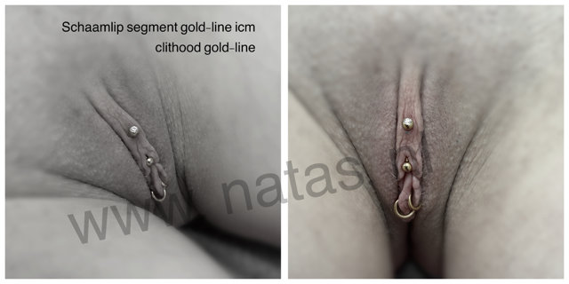 intiem piercing vrouw.PNG