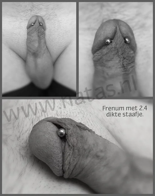 Frenumpiercing.JPG
