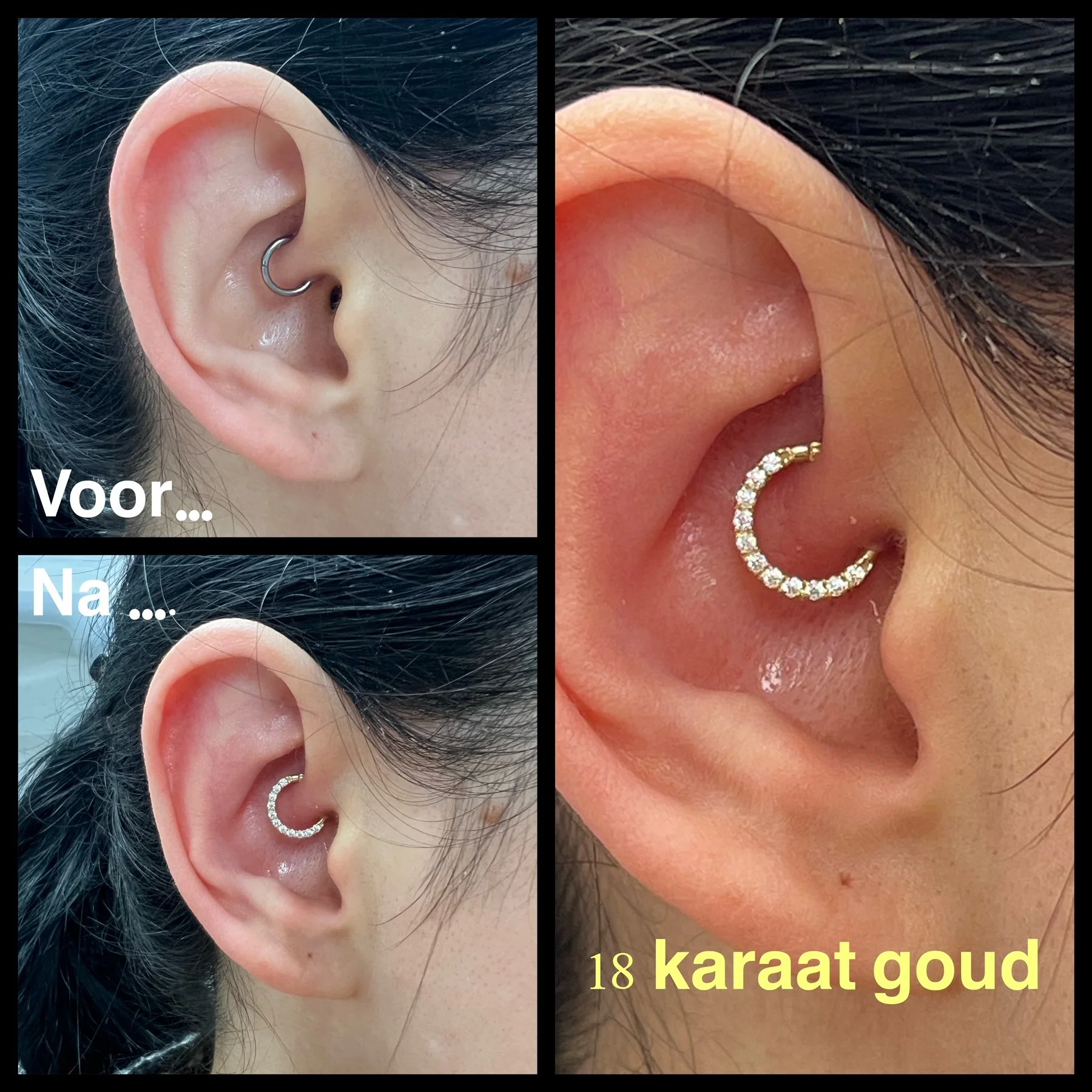 goudsegment.JPG
