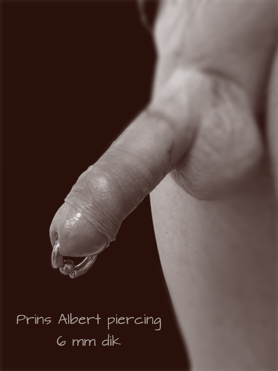 prins alber piercing 6mm (2).PNG