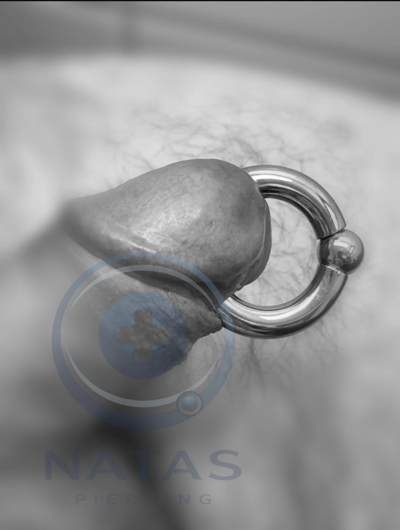 prinsalbertpiercing7mm (1).JPG