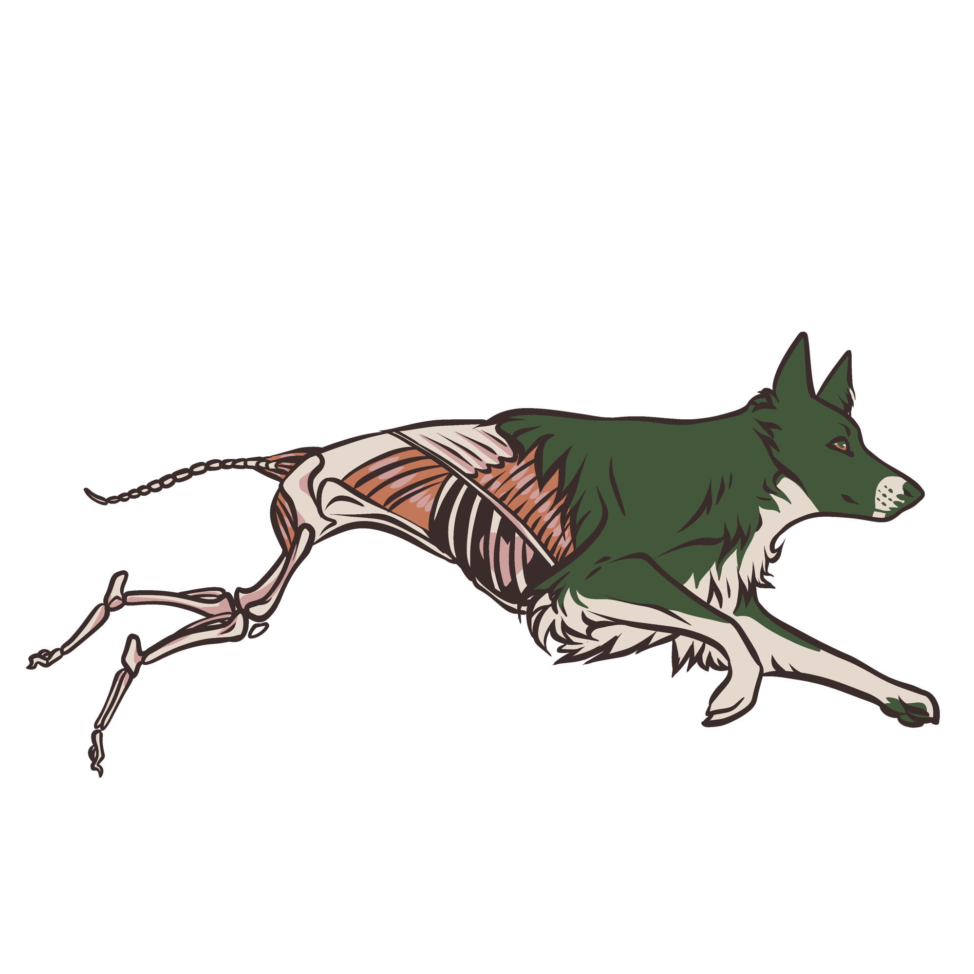 A detailed illustration of a border collie logo for canine learning lab podcast